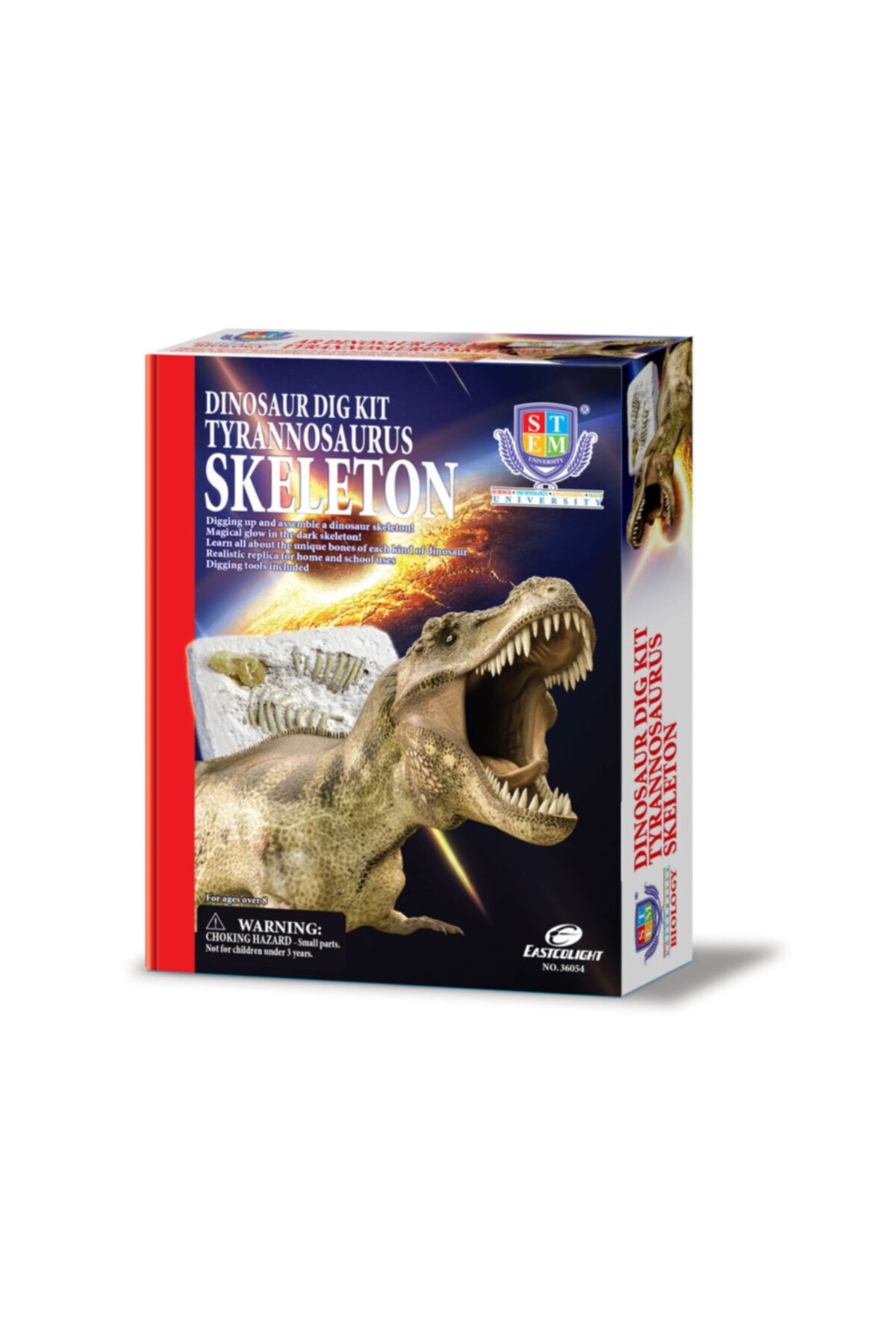 Eastcolıght Tyrannosaurus Dinozor Iskeleti Maketi Kazı Kazma Seti