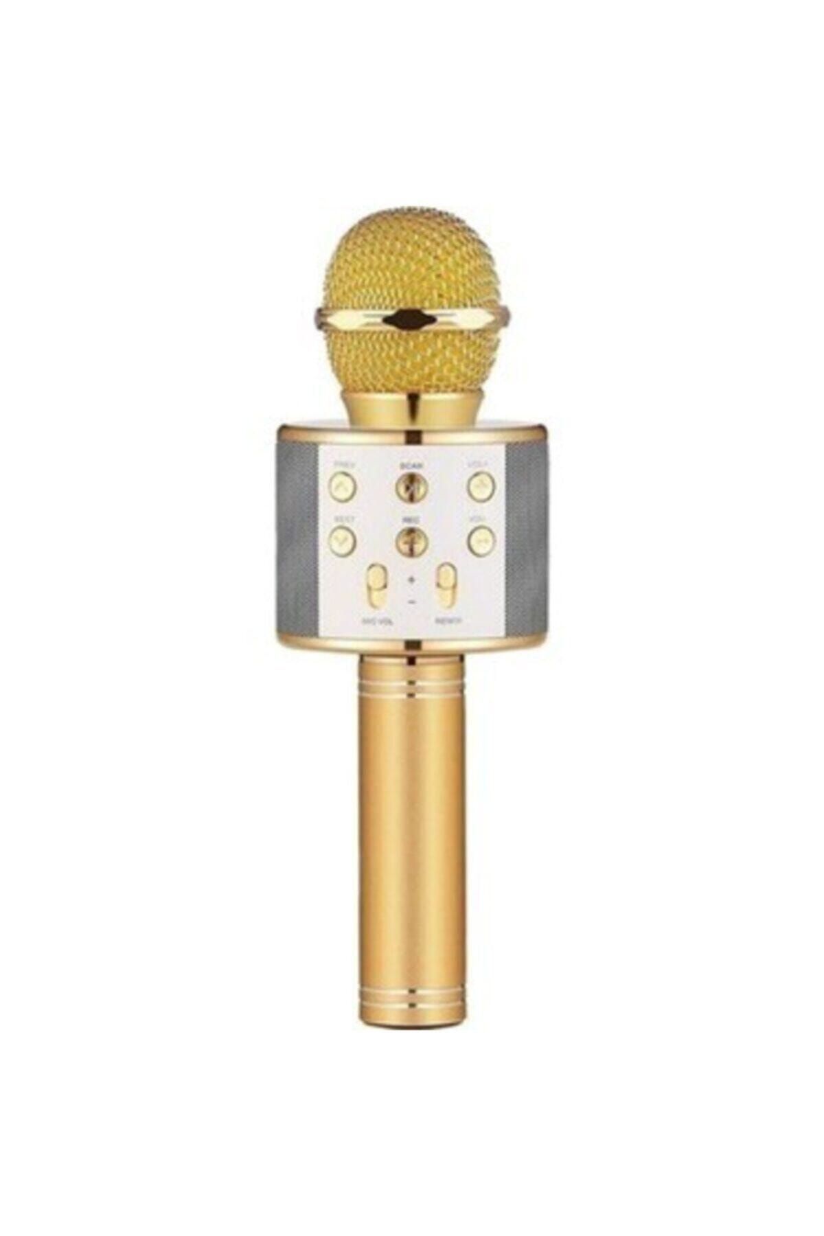 DEKİM Karaoke Mikrofon