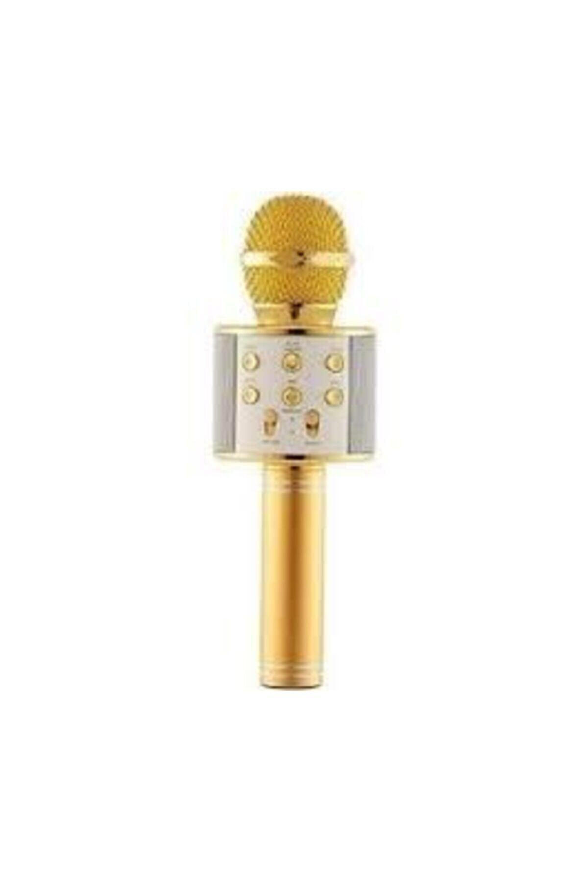 Wster Kareoke Bluetooth Mikrofon