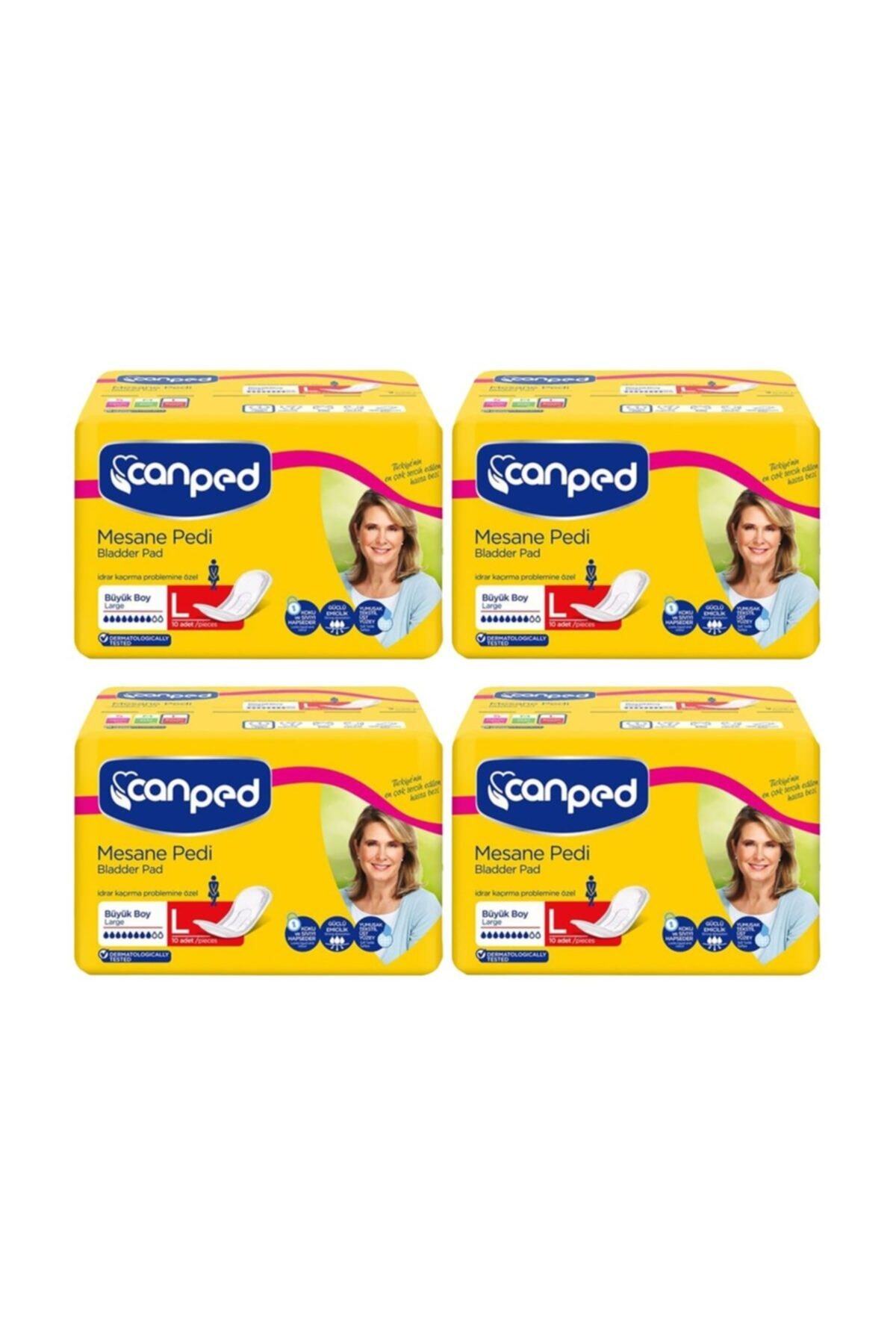 Canped Mesane Pedi Büyük Boy Large (l) 10lu 4 Paket 40 Adet
