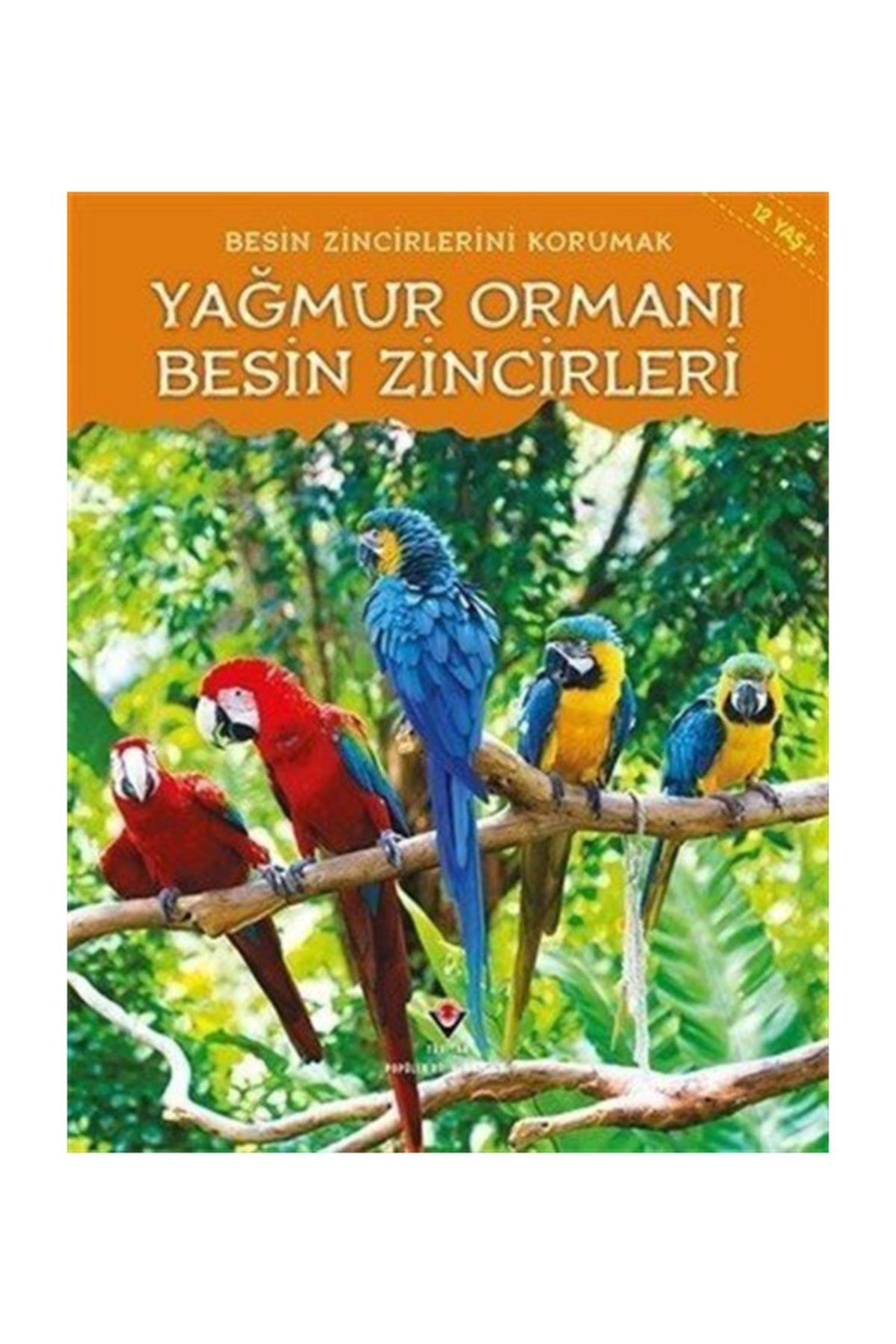Tübitak Yayınları Yağmur Ormanı Besin Zincirleri
