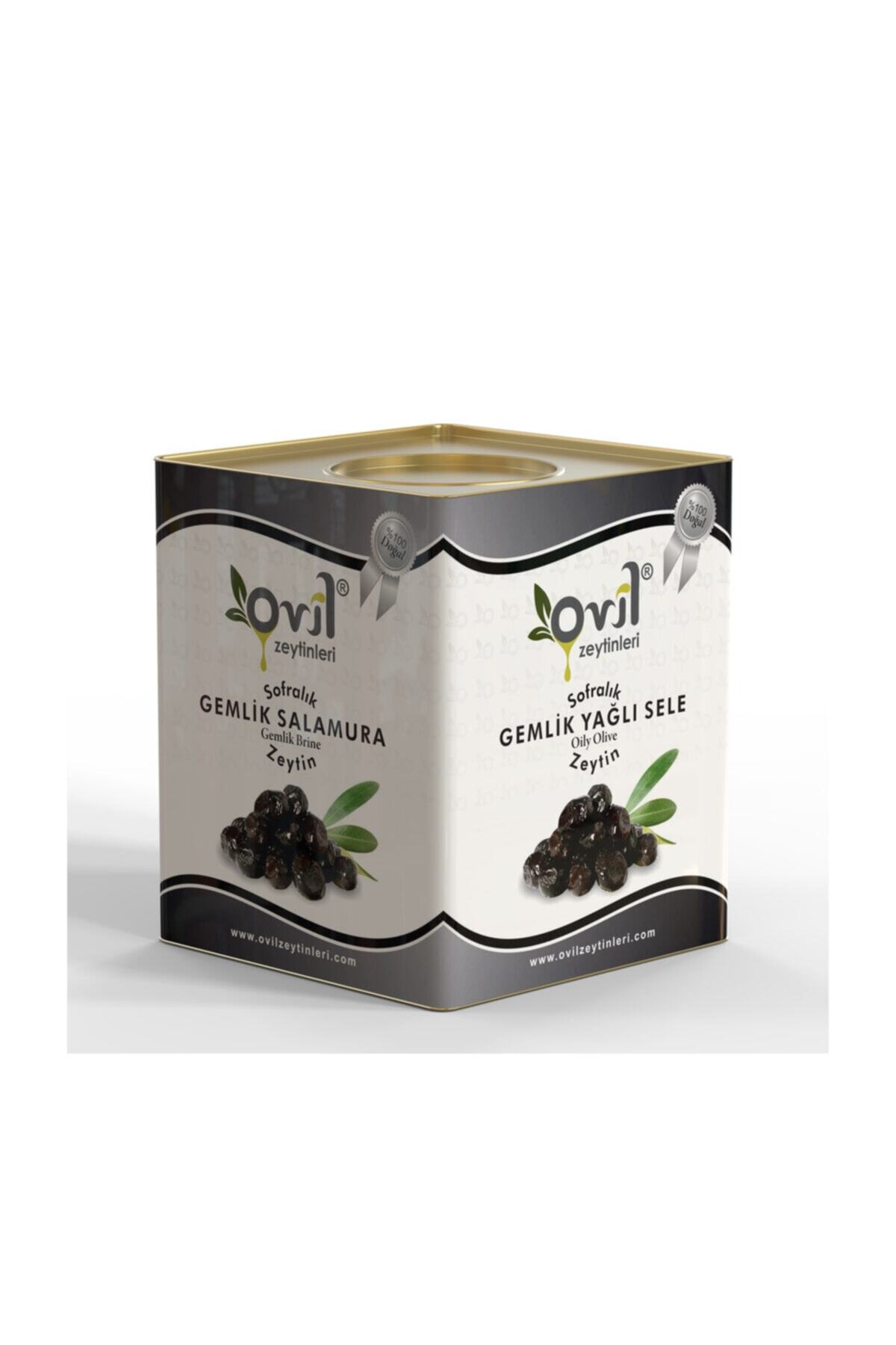 OVİL Siyah Zeytin Gemlik Tipi Yağlı Sele 351-380 10 Kg