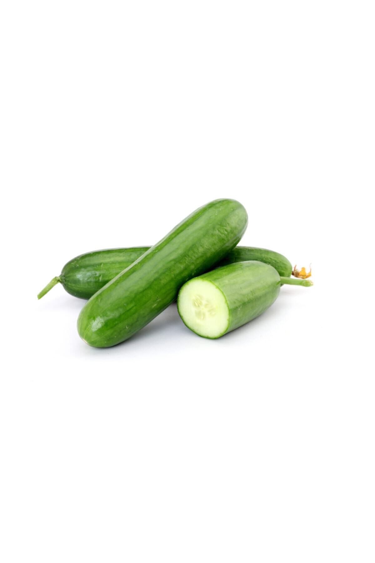 VİTAMİNLİ SEBZELER Salatalık (1 Kg.)