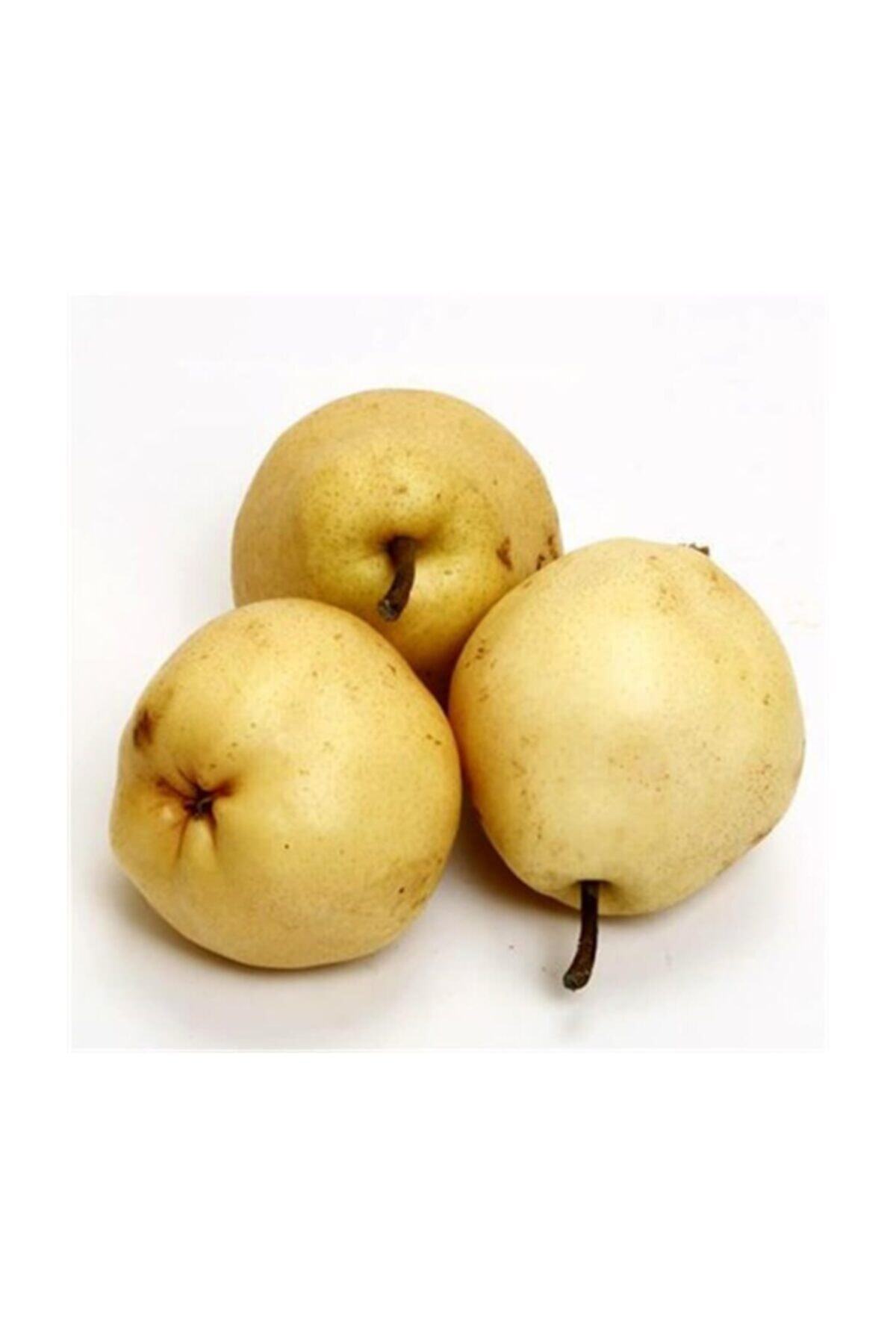 VİTAMİNLİ MEYVELER Armut Deveci (1KG.)