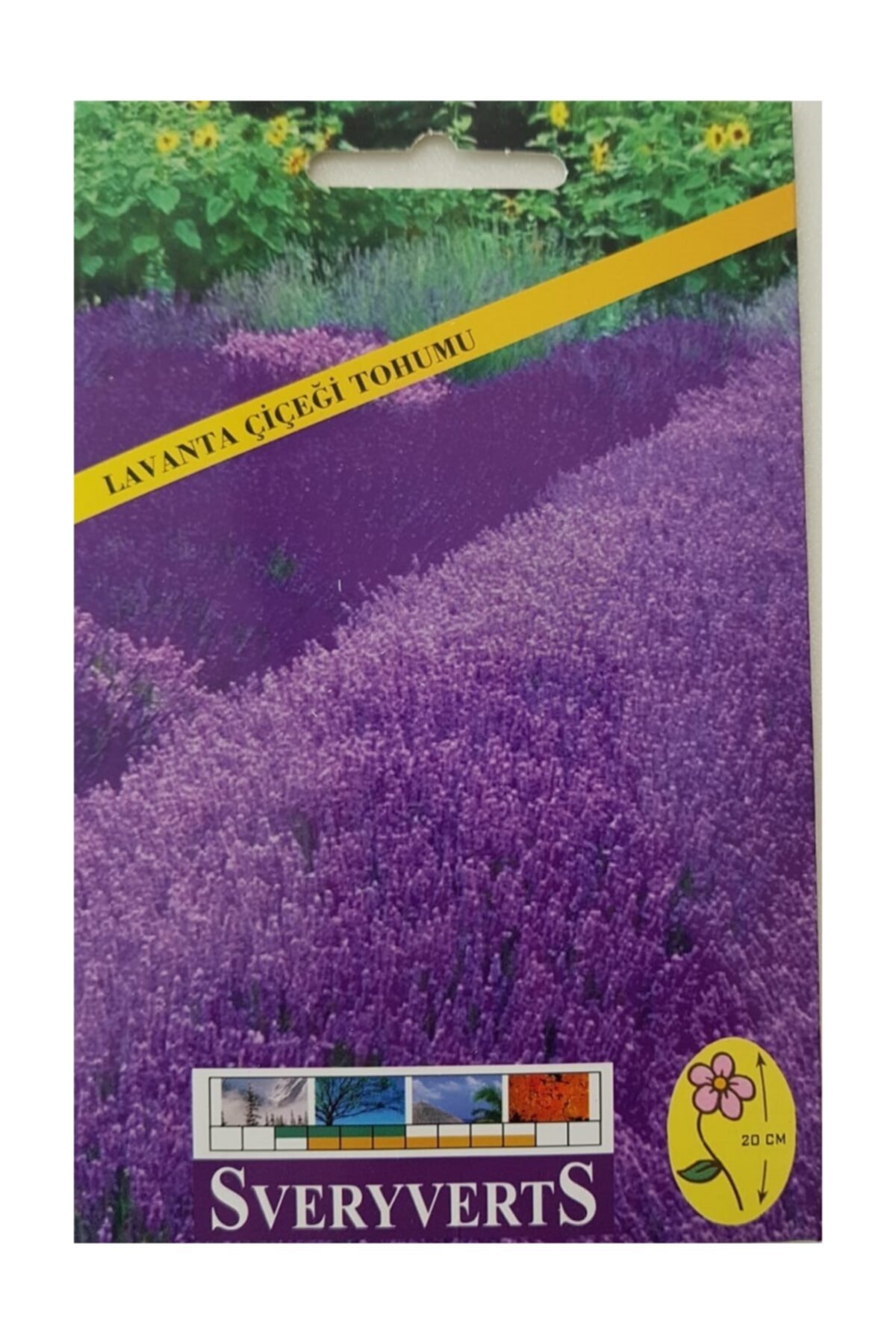 SVERYVERTS Lavanta Tohumu 1 Paket (10-15 ADET TOHUM) Kokulu Lavanta Tohumu Aromatik Bitki Tohumları Süs Bitkisi