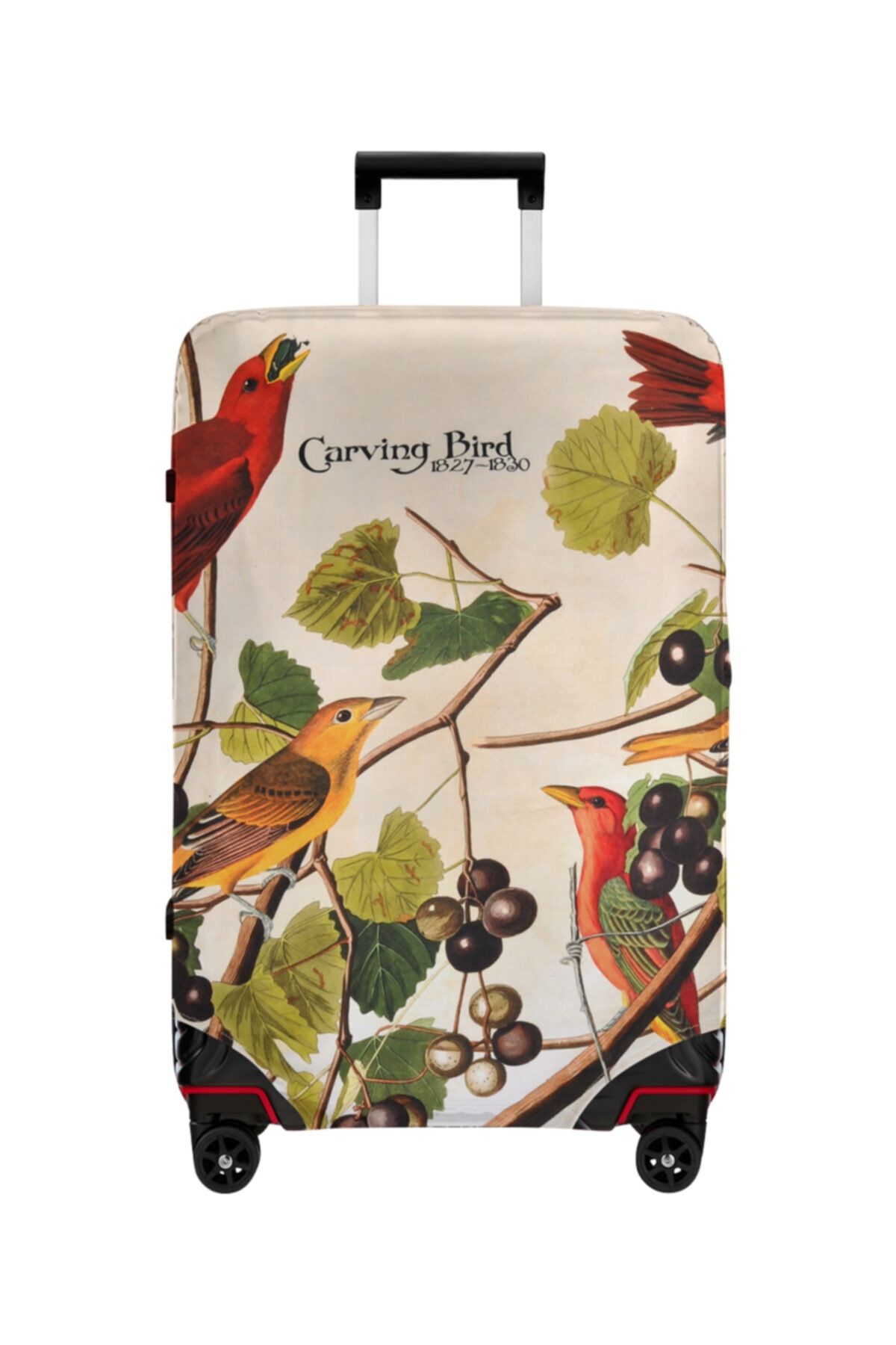 Dogo Carving Bird Orta Boy Valiz Kılıfı