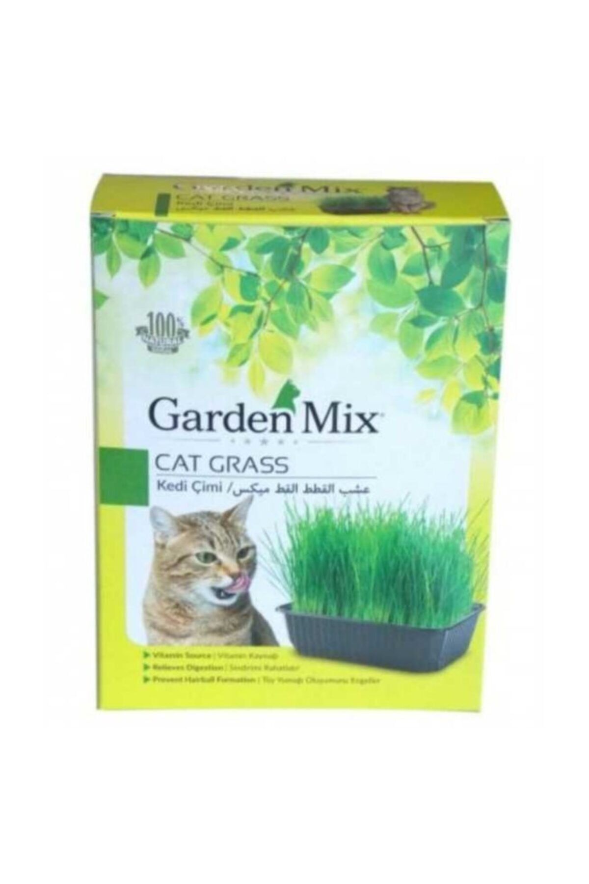 Gardenmix Kedi Çimi 13cm X 18 Cm
