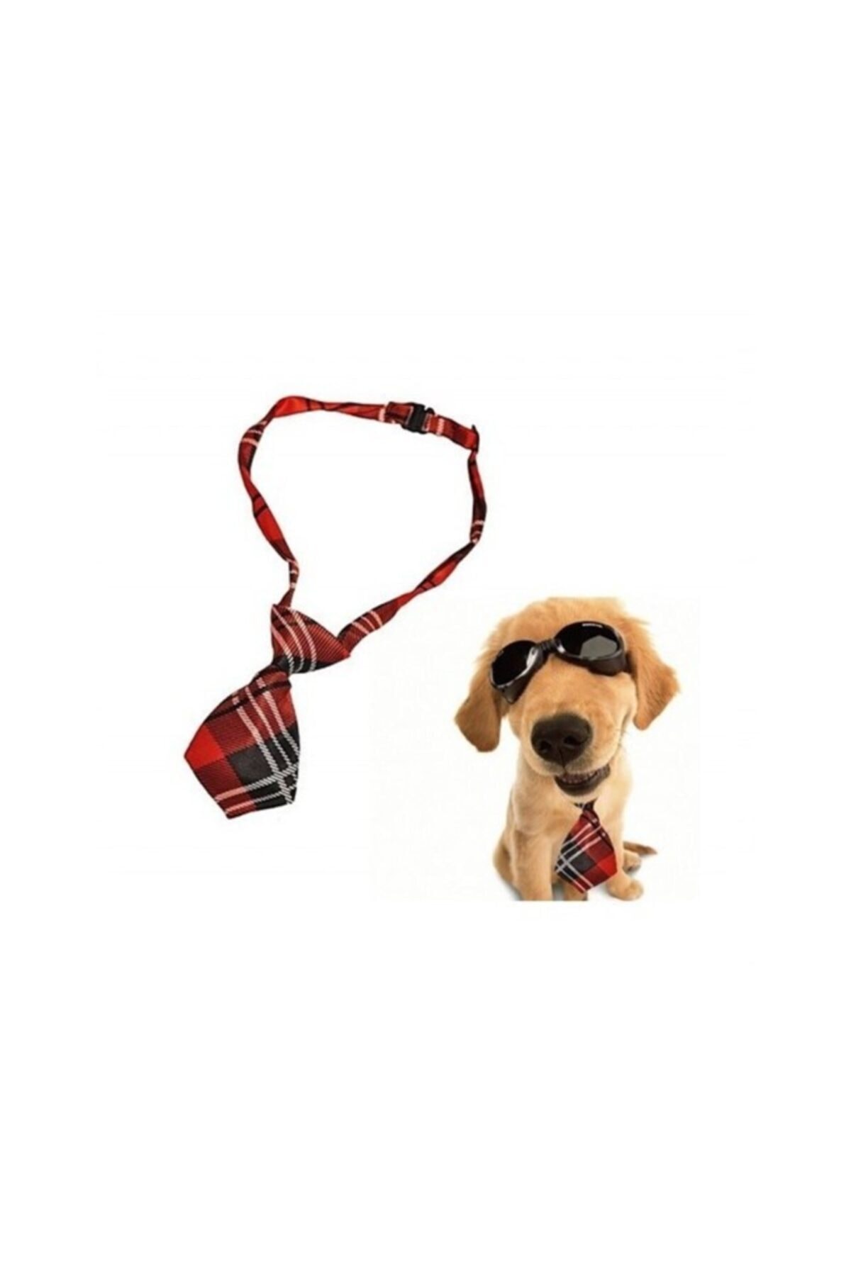 Easy Pet Kravat Tasma Renkli