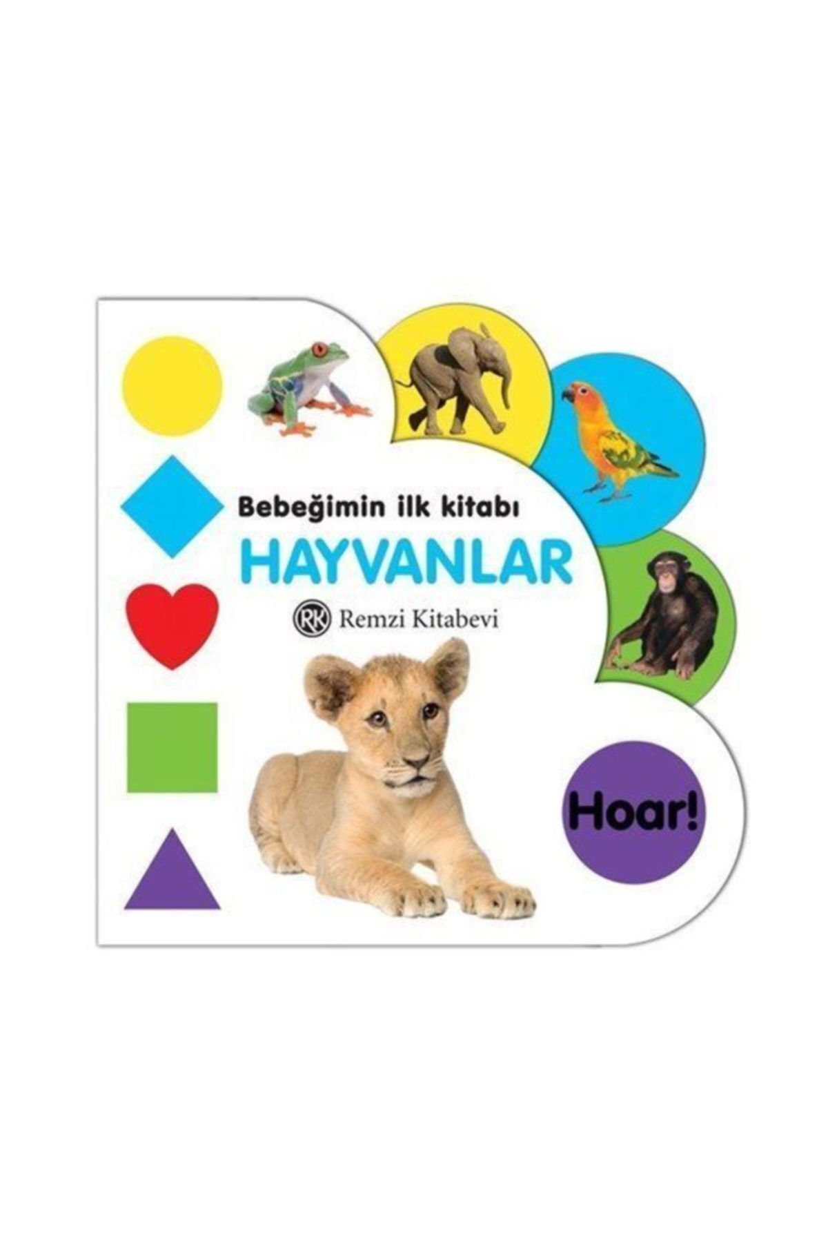 Sesli Kitap Ilk Hayvan Sesleri Kitabim Youtube