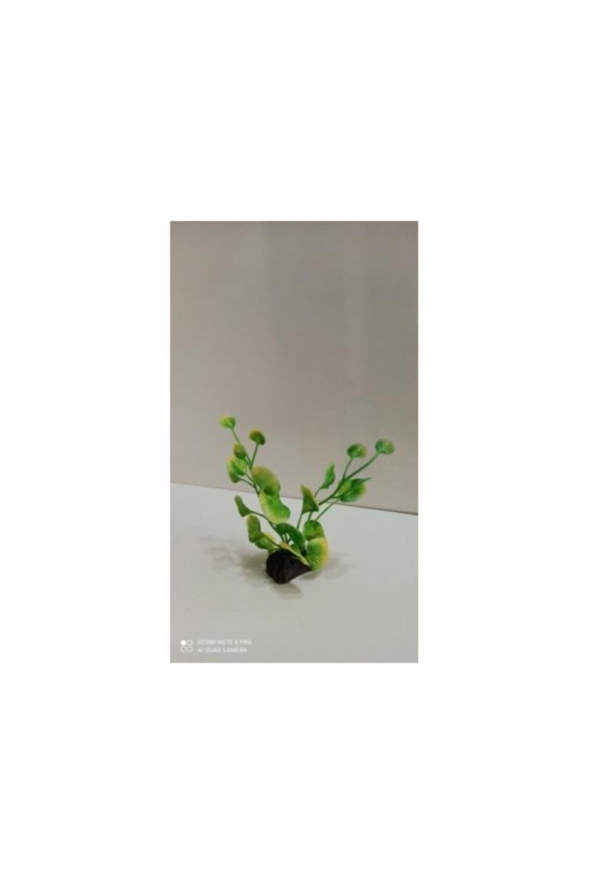 TROPİKAL Plastik Bitki 10 Cm Verticillata