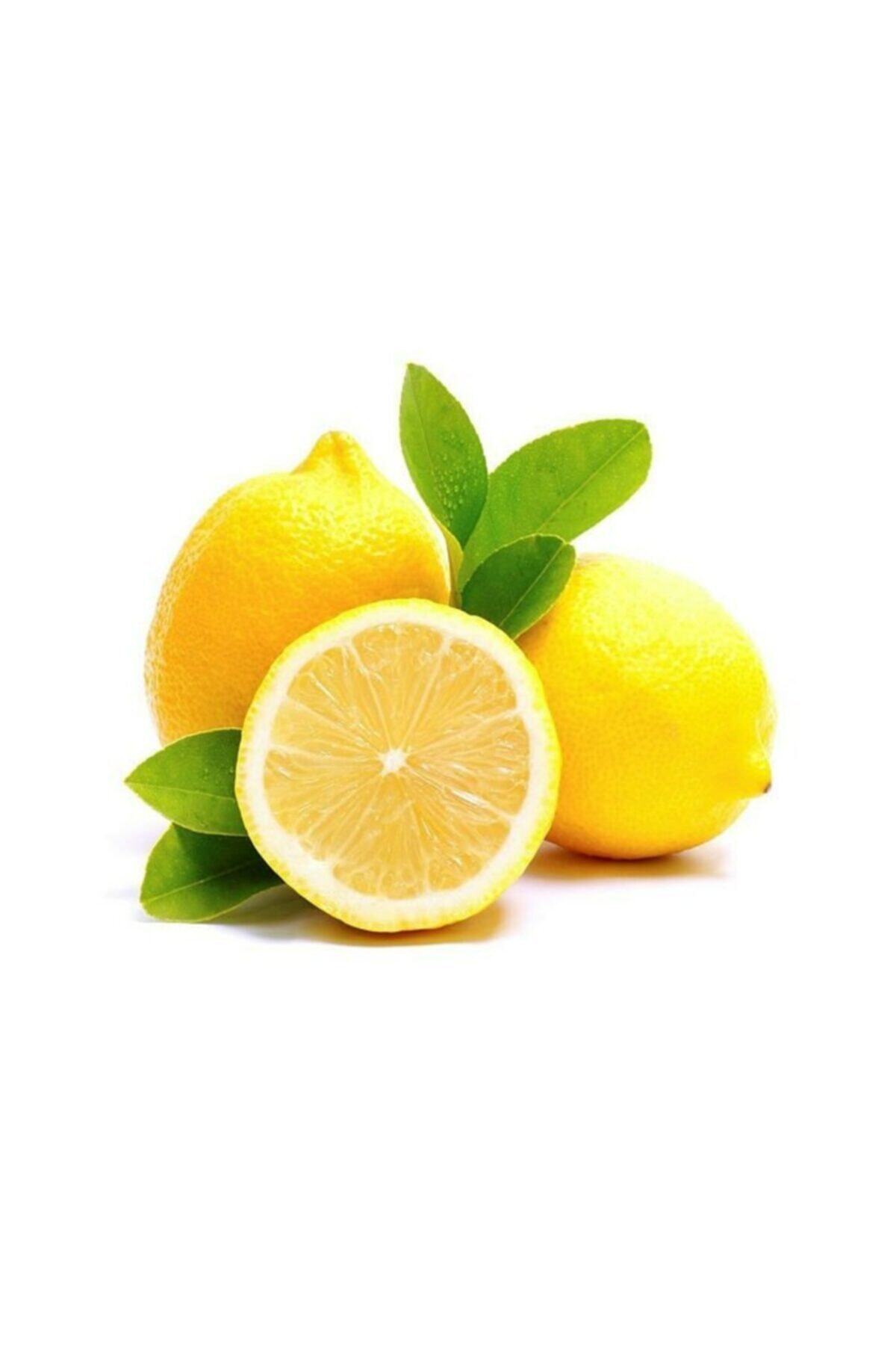 ENDER'DEN Limon (5 Kg)
