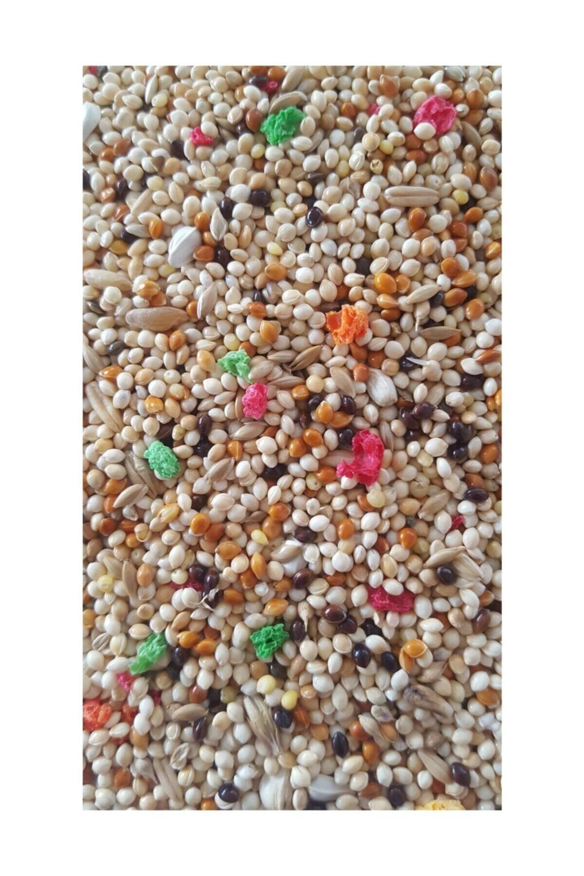 BRN STORE 1 Kg. Karışık Muhabbet Kuşu Yemi