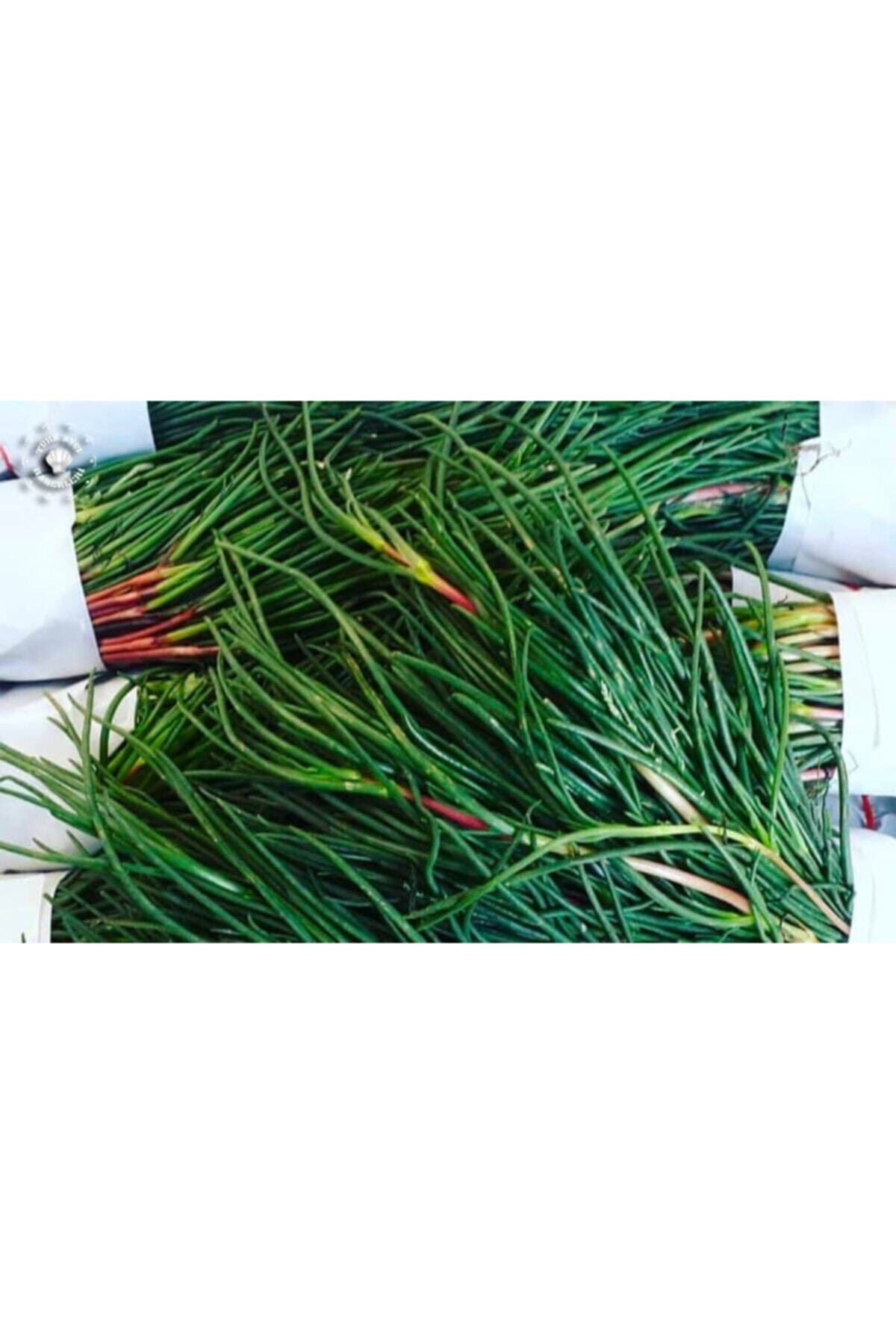 Gelinler Dağı Natural Deniz Fasulyesi Turşusu 780 gr