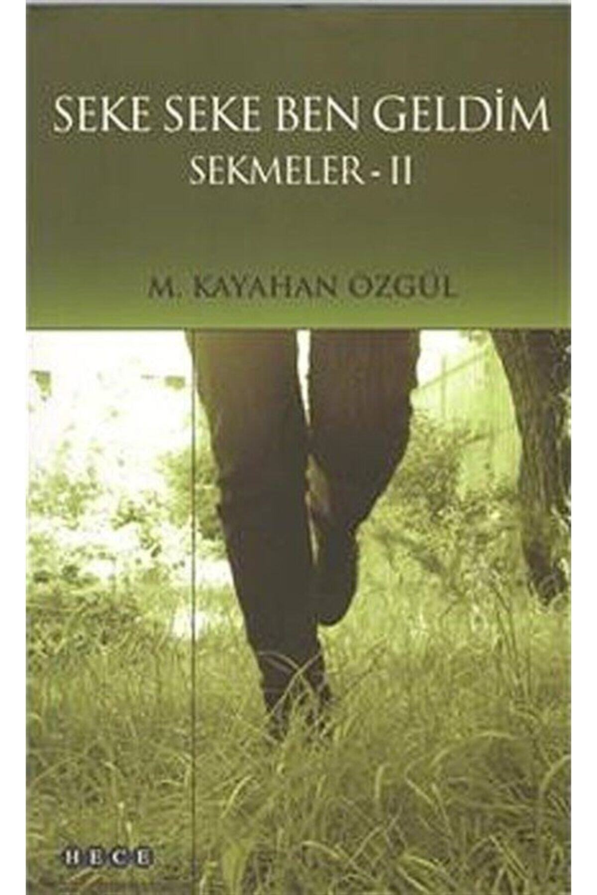 Hece Yayınları Seke Seke Ben Geldim - Sekmeler 2