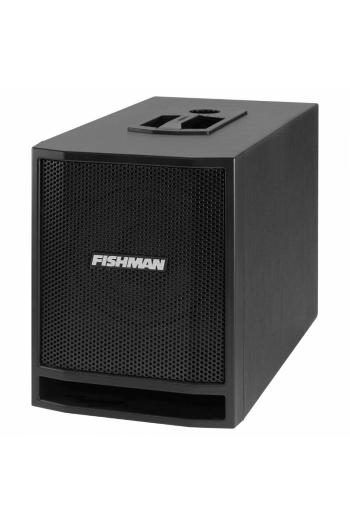 Fishman Sa Sub 300w 1x8 Subwoofer
