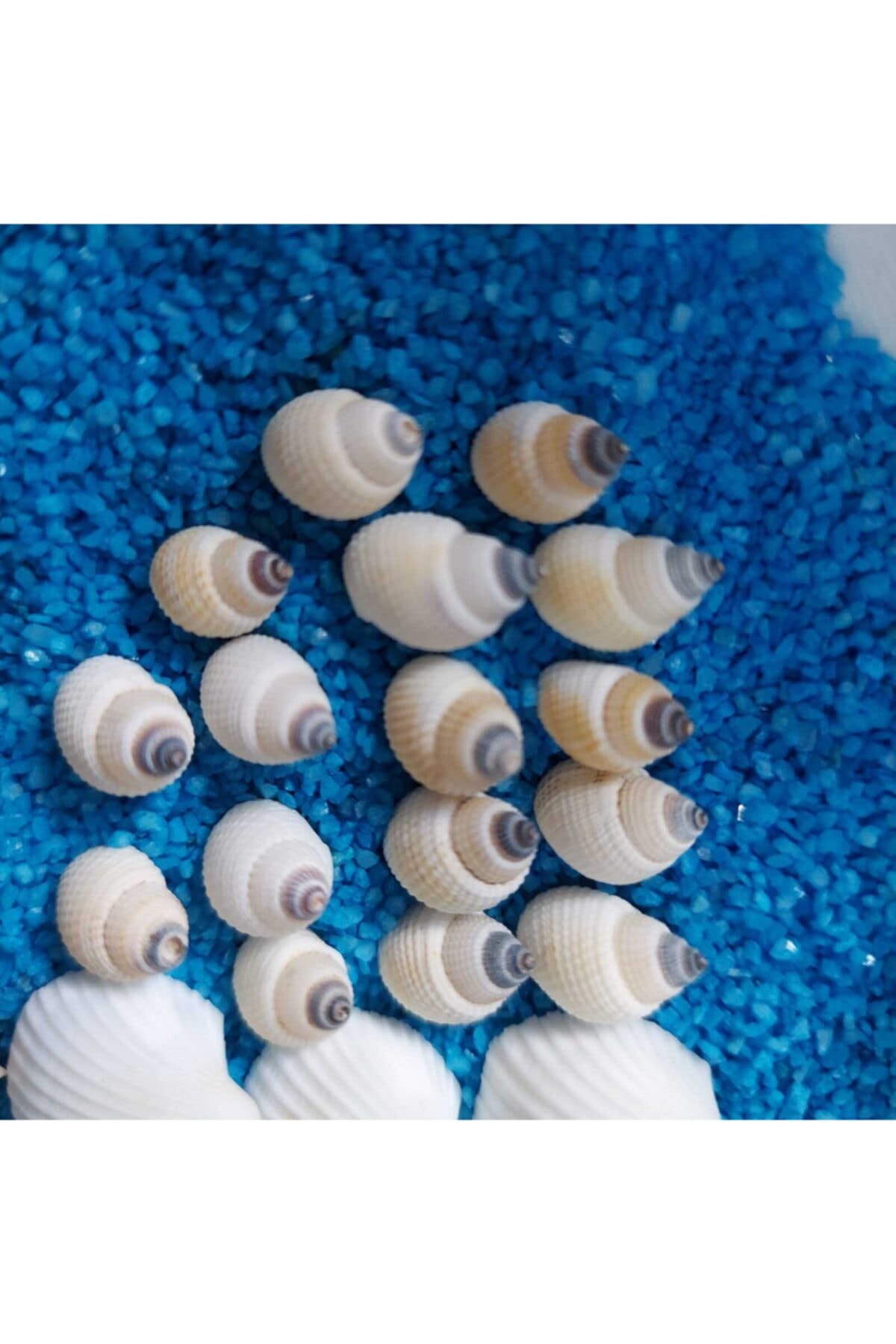 Aker Hediyelik Küçük Deniz Kabuğu 500gr 1 cm