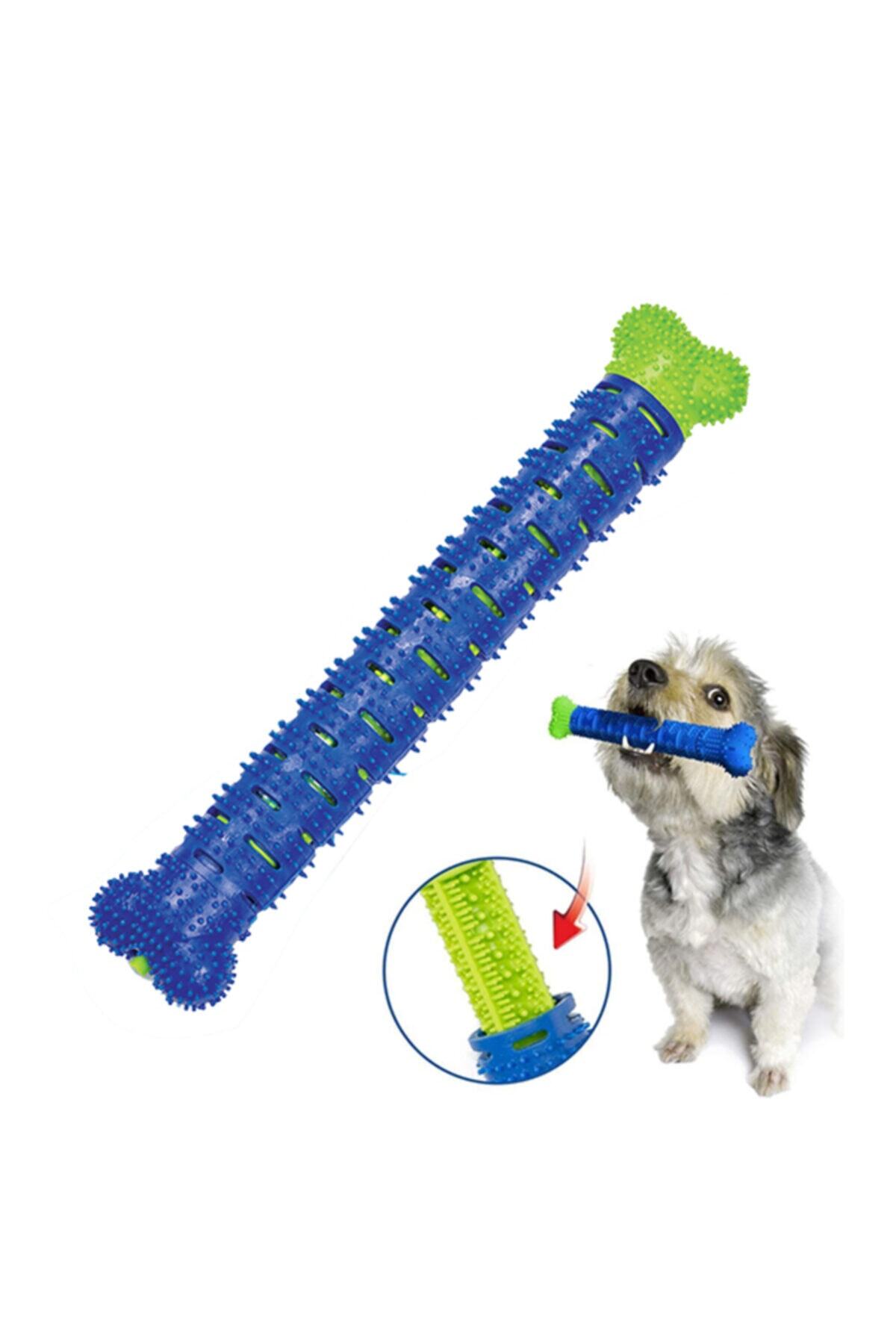 Durbuldum Köpek Diş Temizleme Oyuncağı Chewbrush