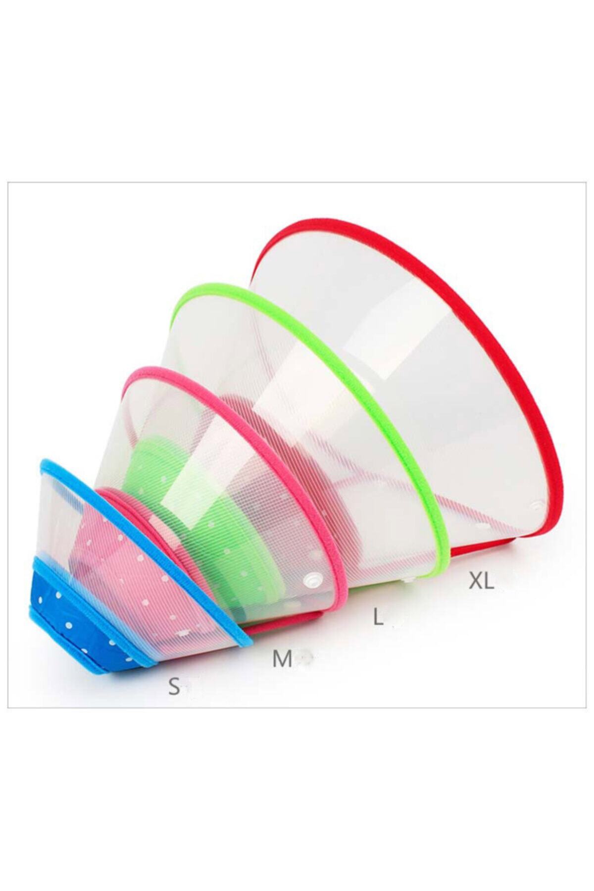 Durbuldum Köpek Ameliyat Plastik Yakalık Xl