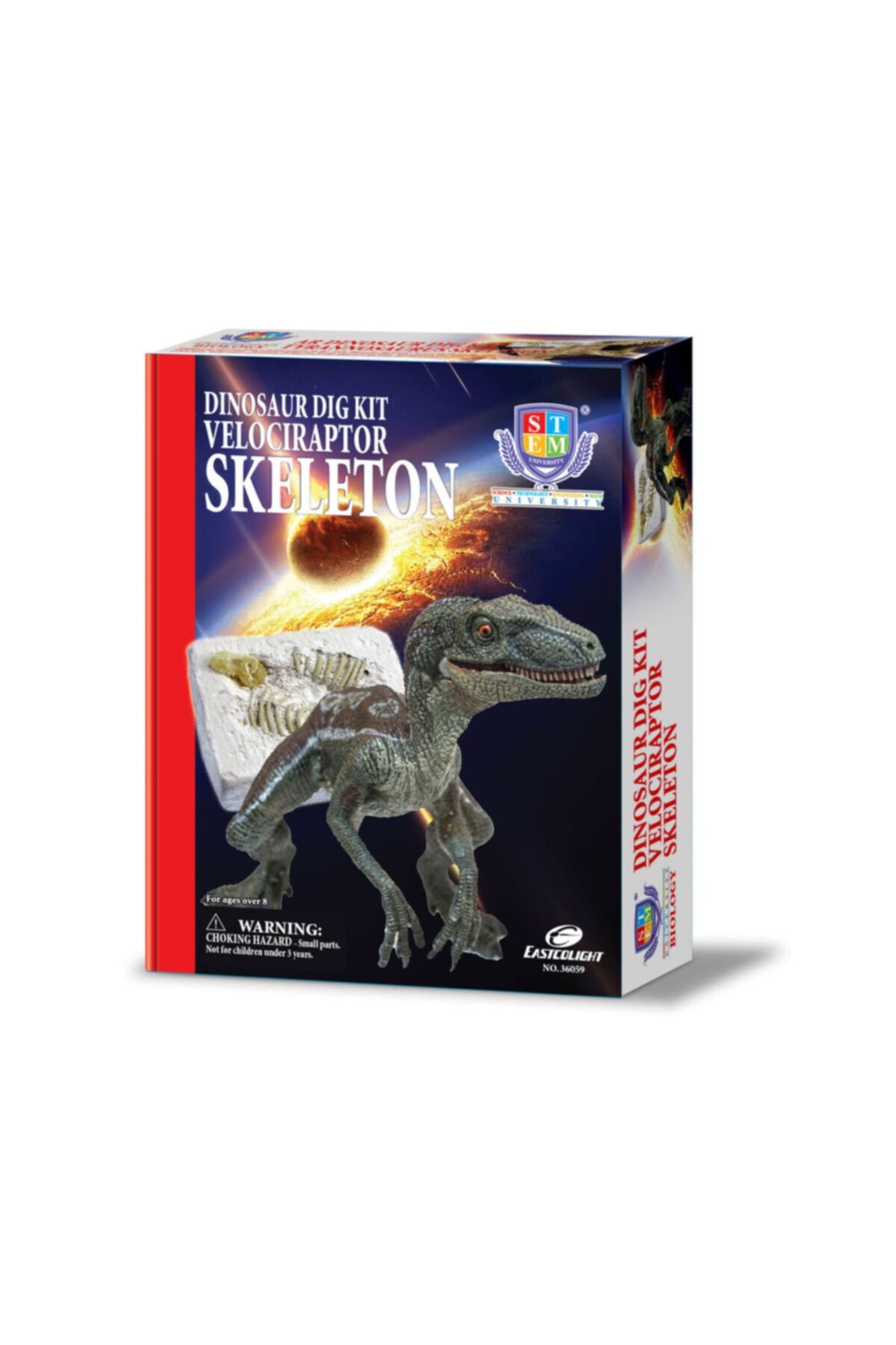 Eastcolıght Velociraptor Dinozor Iskeleti Maketi Kazı Kazma Seti