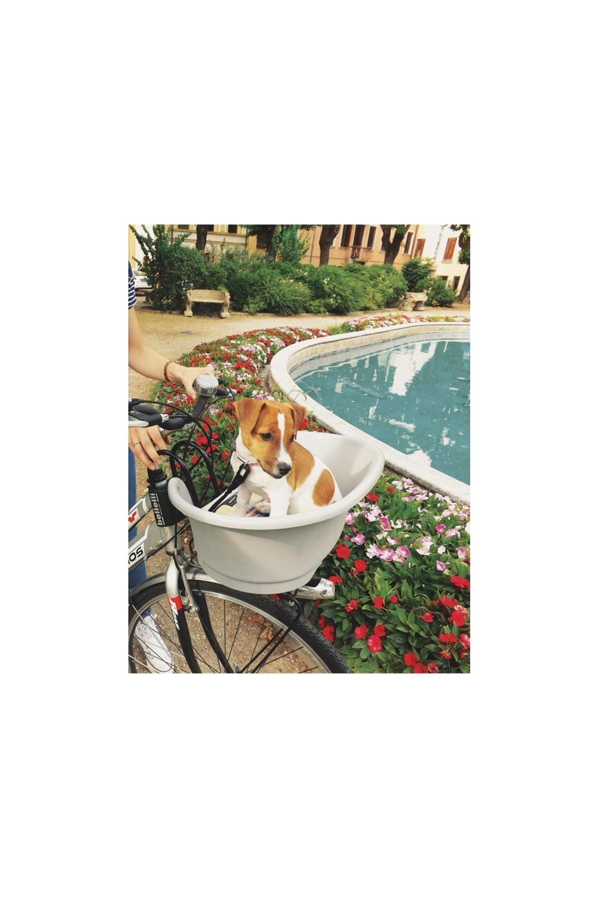 Belleli Bellelli Pet Box Evcil Hayvan Taşıyıcı Bisiklet Için