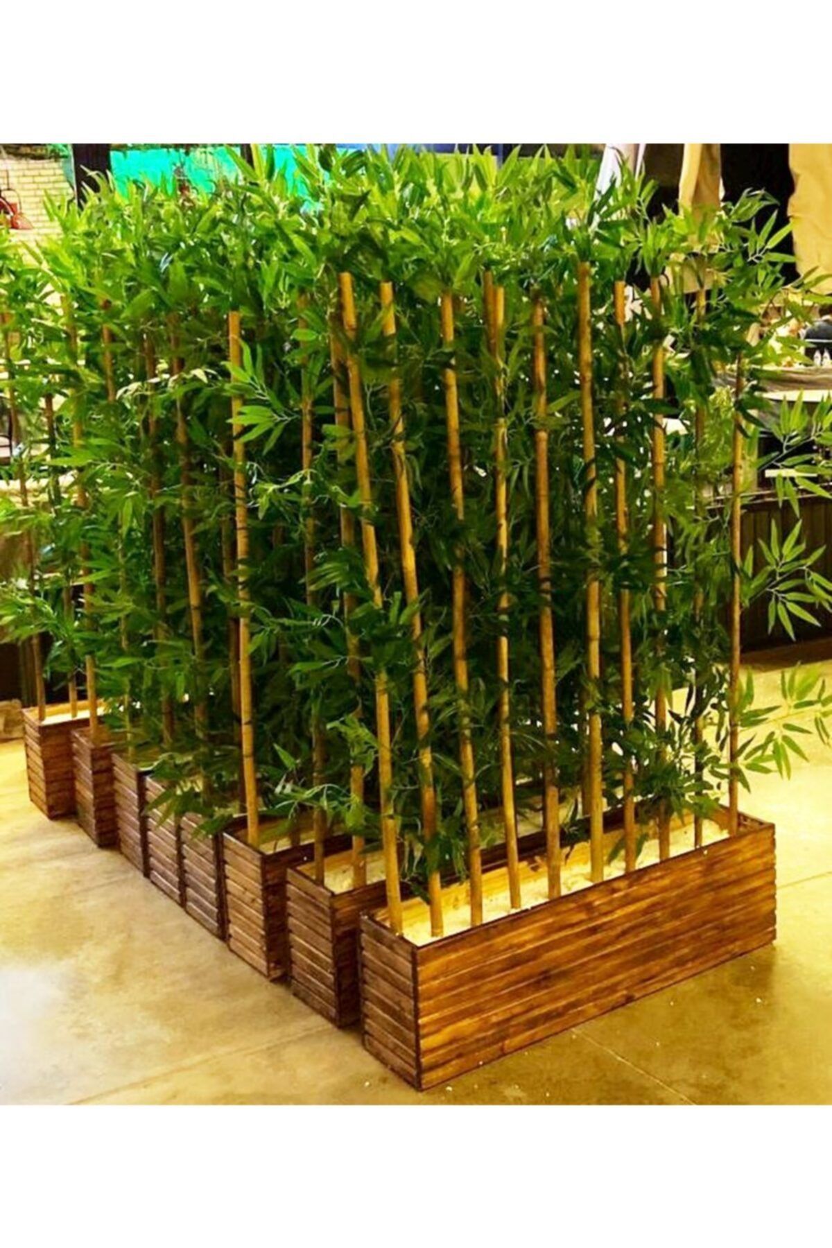YEŞİLADA Yapay Bambu Ağaç Çam Ağacı Ahşap Saksıda 1 Metre Boyunda Bambu Ağaç Çiçek