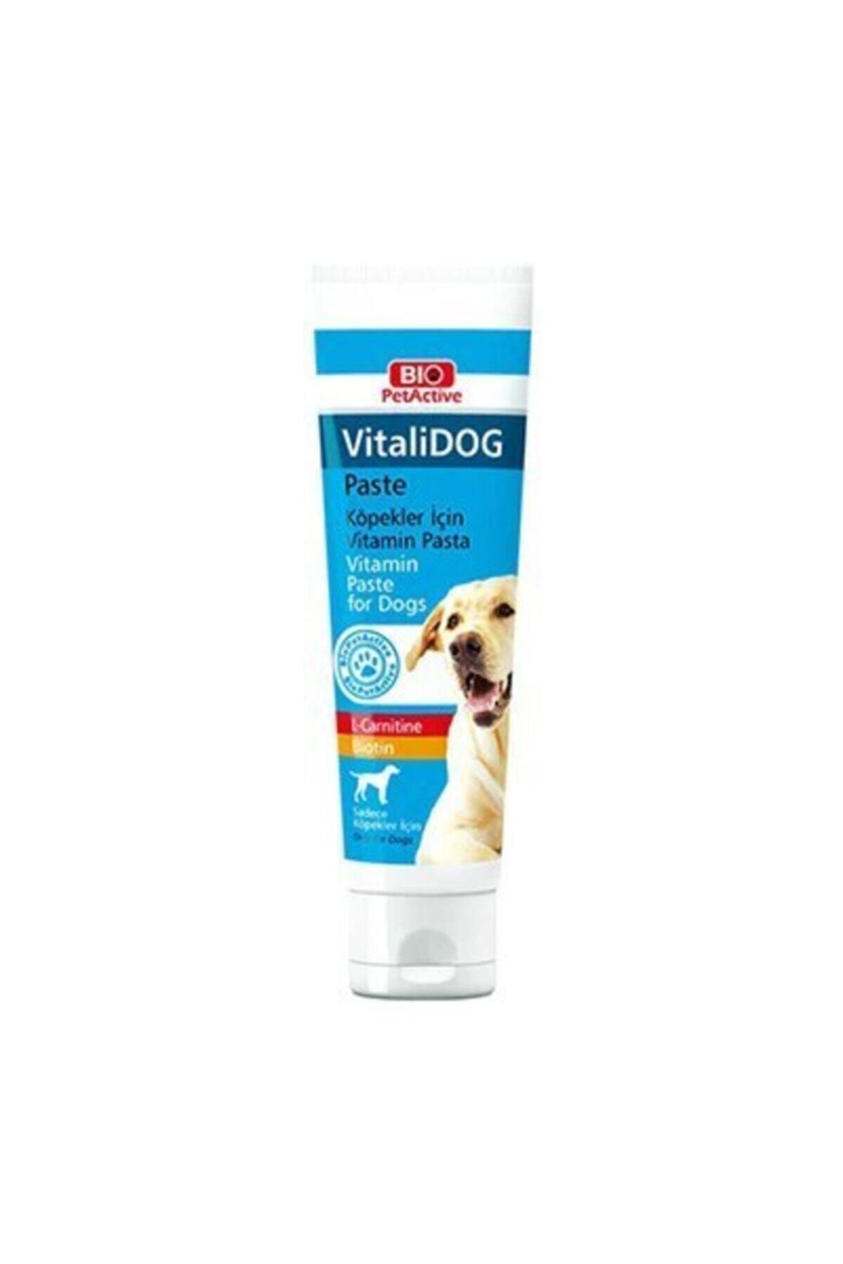 Pet Active Vitalidog Paste Yetişkin Köpekler Için Vitamin Macun 100 Ml