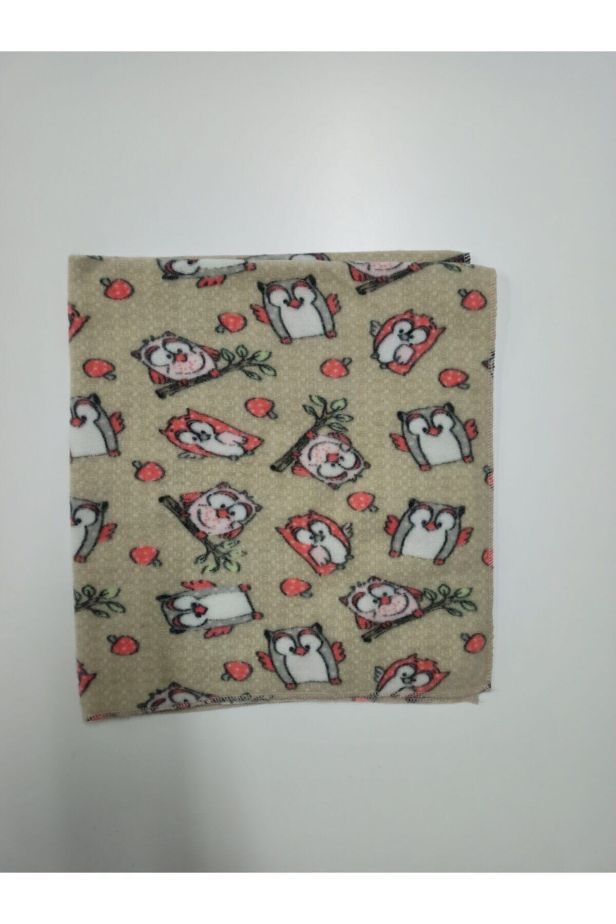 Atahan Pet Kedi Ve Köpekler Için Baykuşlu Polar Battaniye 90x90 Cm