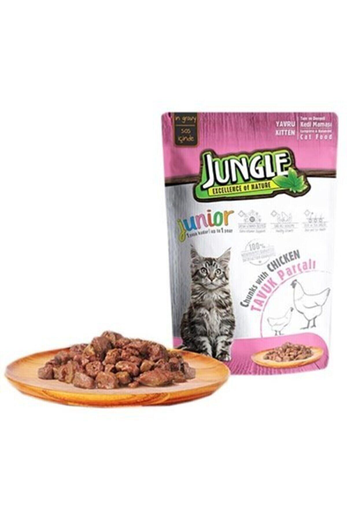 Jungle Yavru Kedi Pouch (JÖLELİ)tavuklu 100 G (24 ADET)