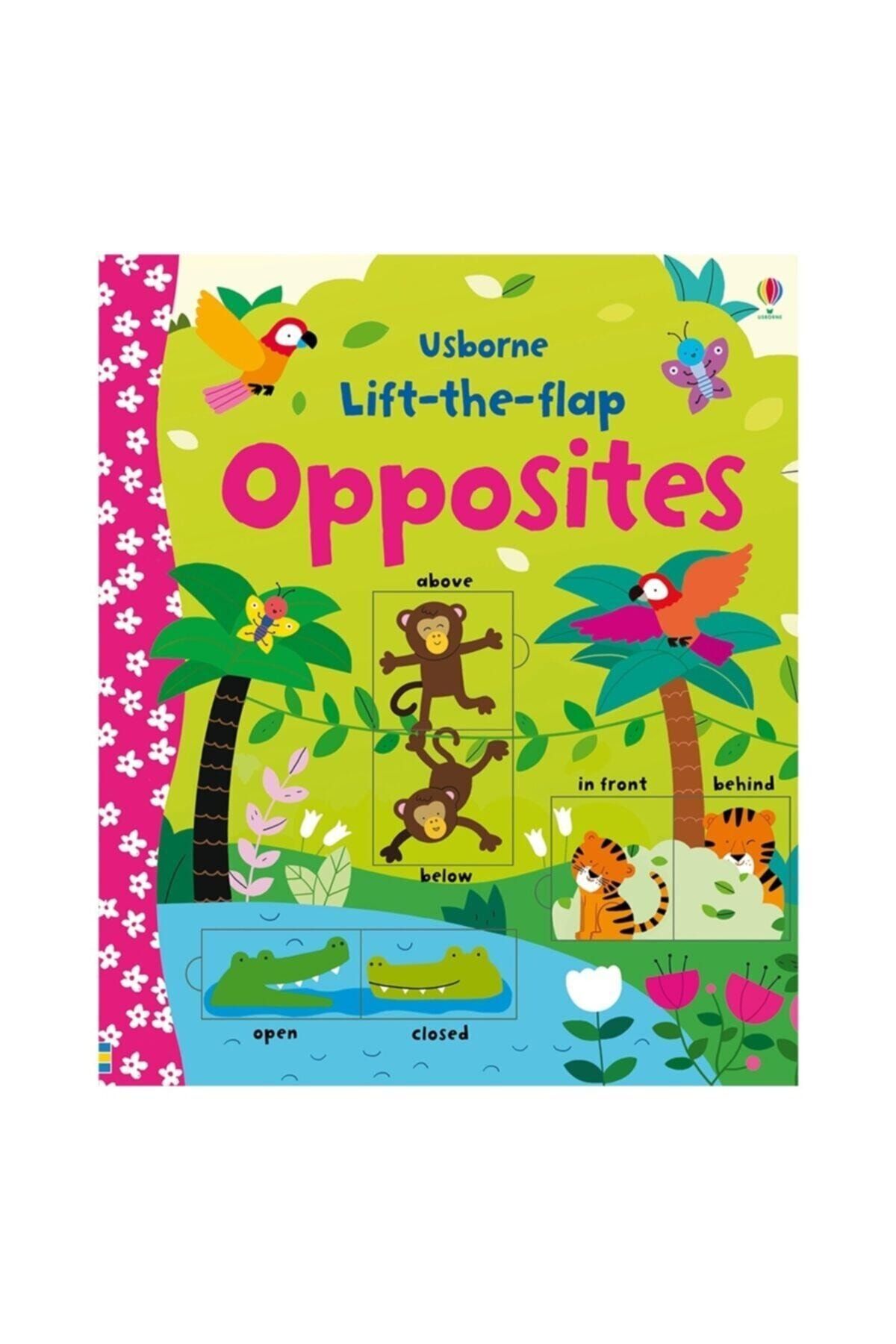 Usborne Lıft-the-flap Opposıtes