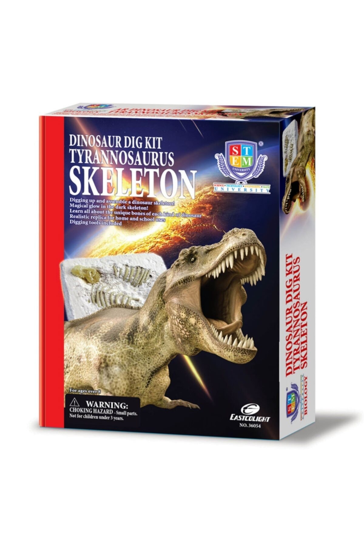 Sunman Dinozor Kazma Kiti Tyrannosaurus Iskeleti. - Beyaz At