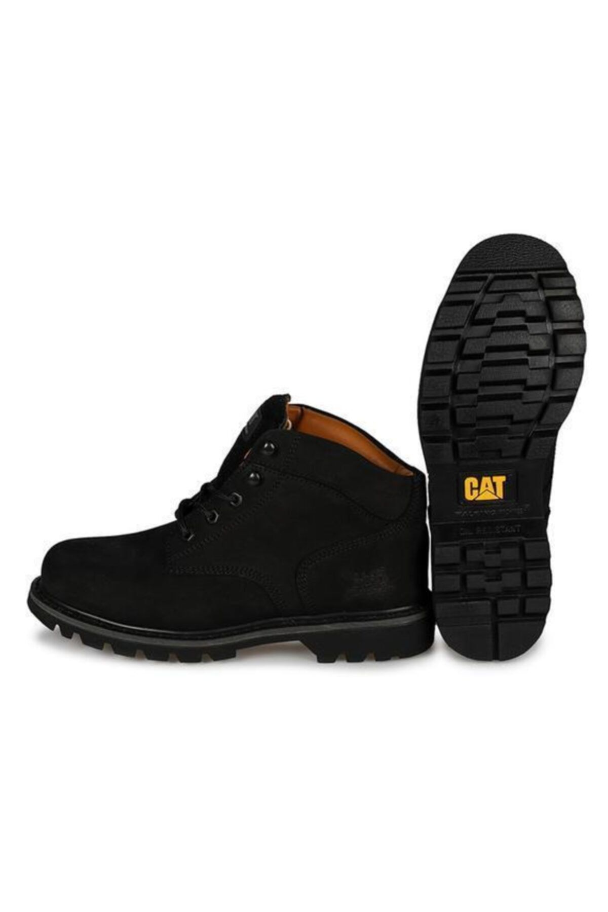 Campbell 20k Cat Bay Bot