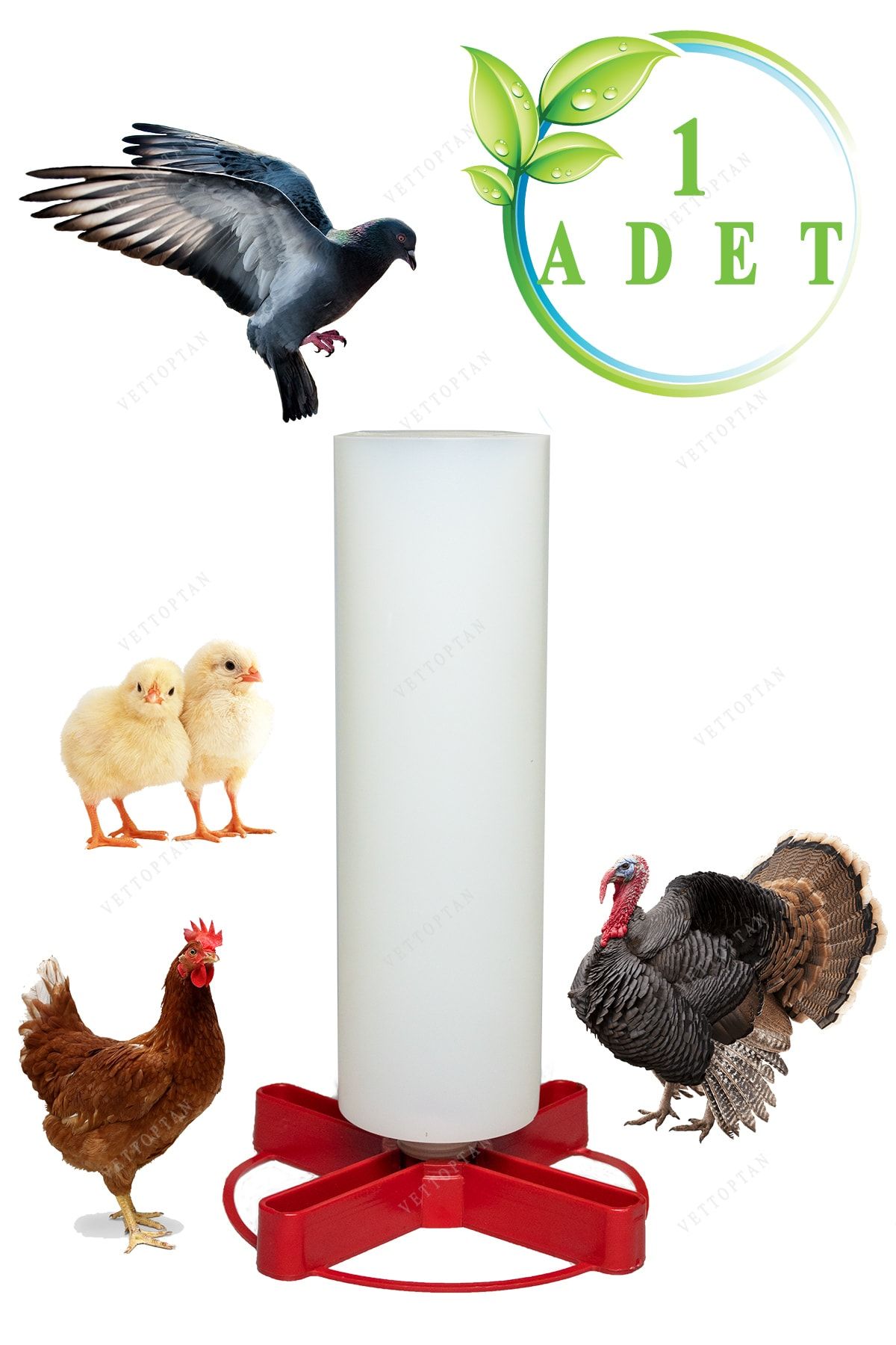 mutlu tavukçuluk Civciv Bıldırcın Pet Şişeli Suluk 750 ml 1 Adet Keklik Güvercin Muhabbet Kanarya Papağan Süs Tavuğu