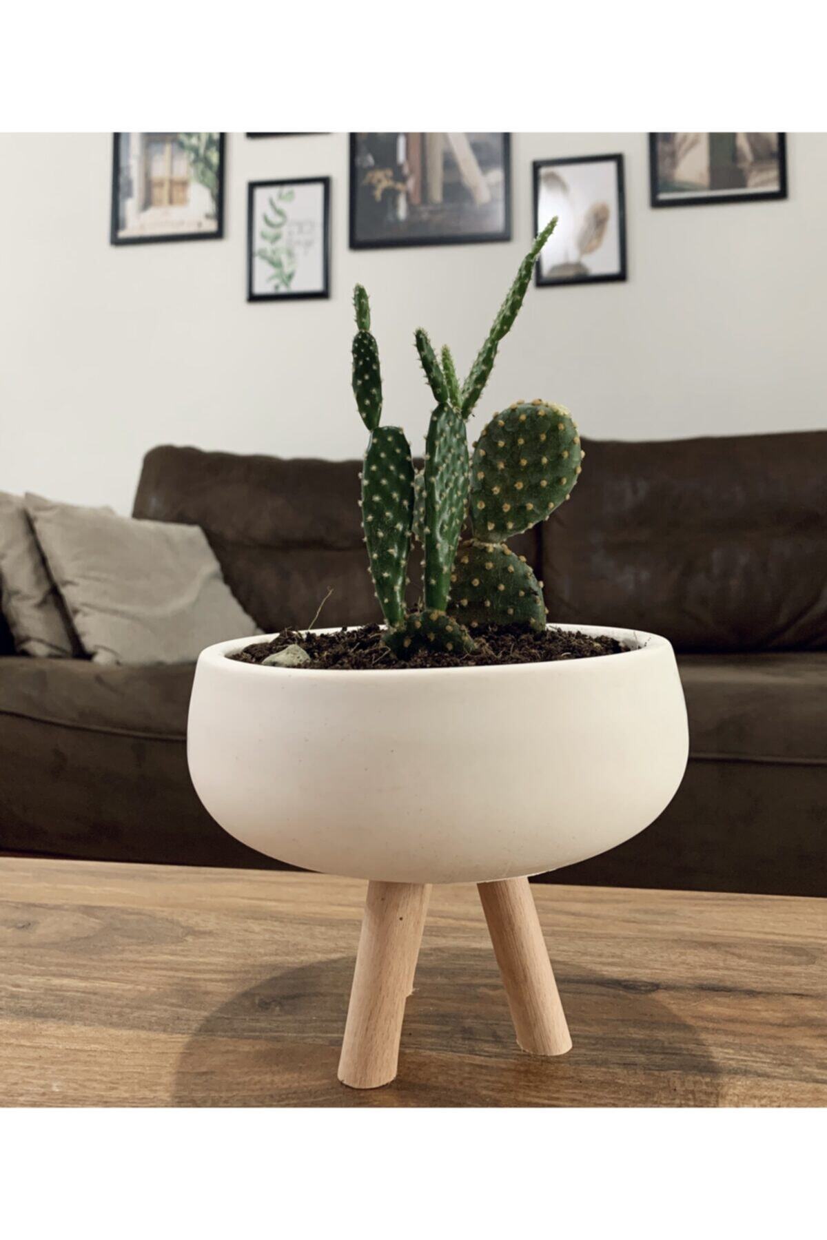 SemArt Home Ayaklı Beyaz Beton Oval Saksı-dekoratif Kase