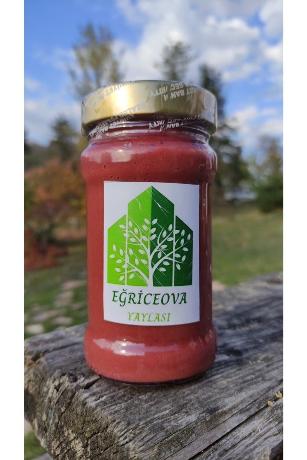Eğriceova Yaylası Kastamonu Katkısız Kızılcık Marmelat 5000 Gr
