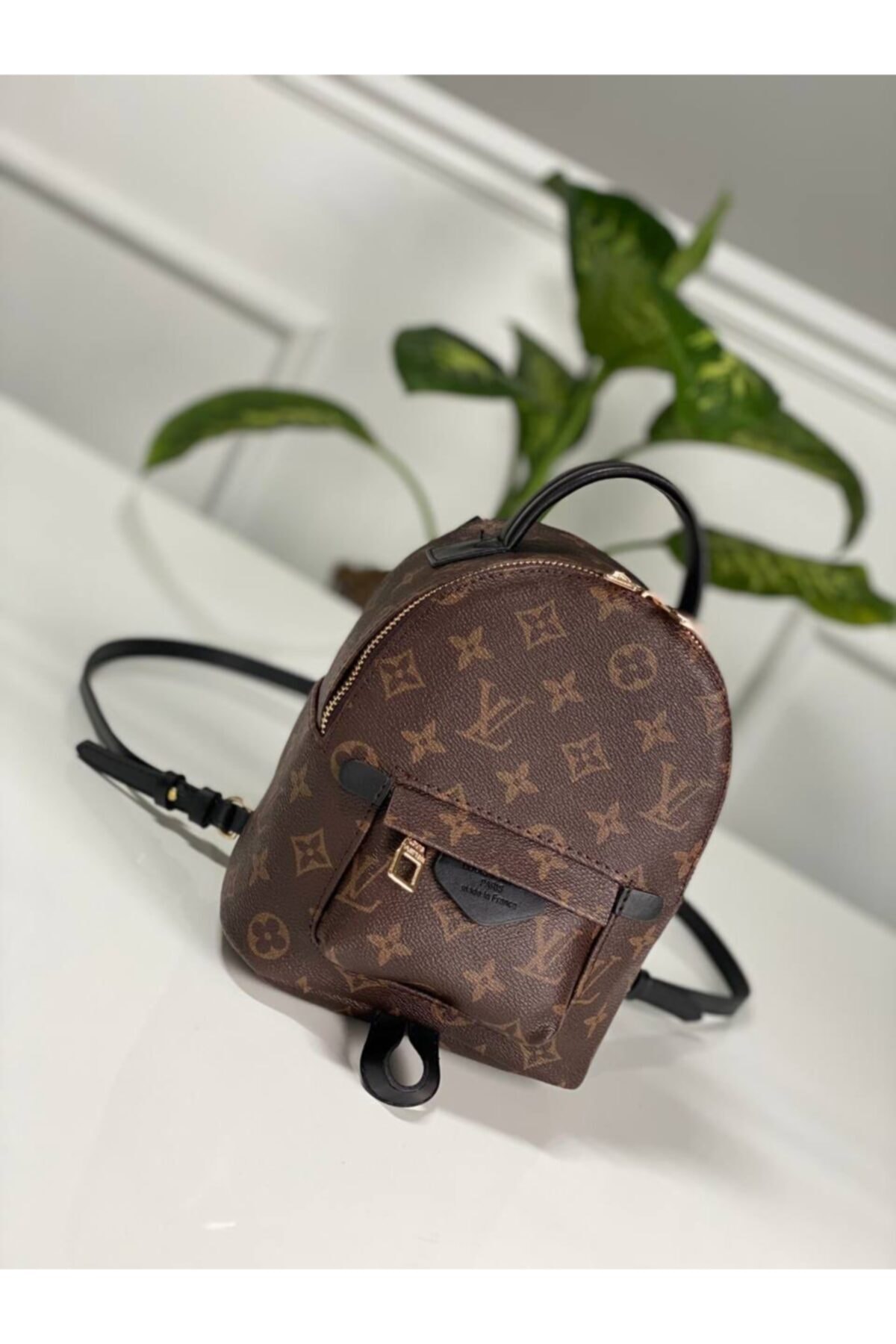 PASSİONİS ACCESSORİES Kadın  Louis Vuitton Kadın Mini Sırt Çantası