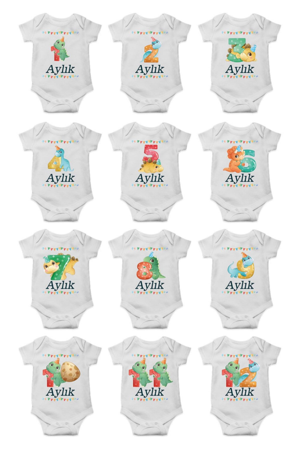 AlazBaby Şintürk (1-2-3-4-5-6-7-8-9-10-11-12) Ay, Aylara Özel Sevimli Ejderha Baskılı Zıbın Body Cıt Cıtlı