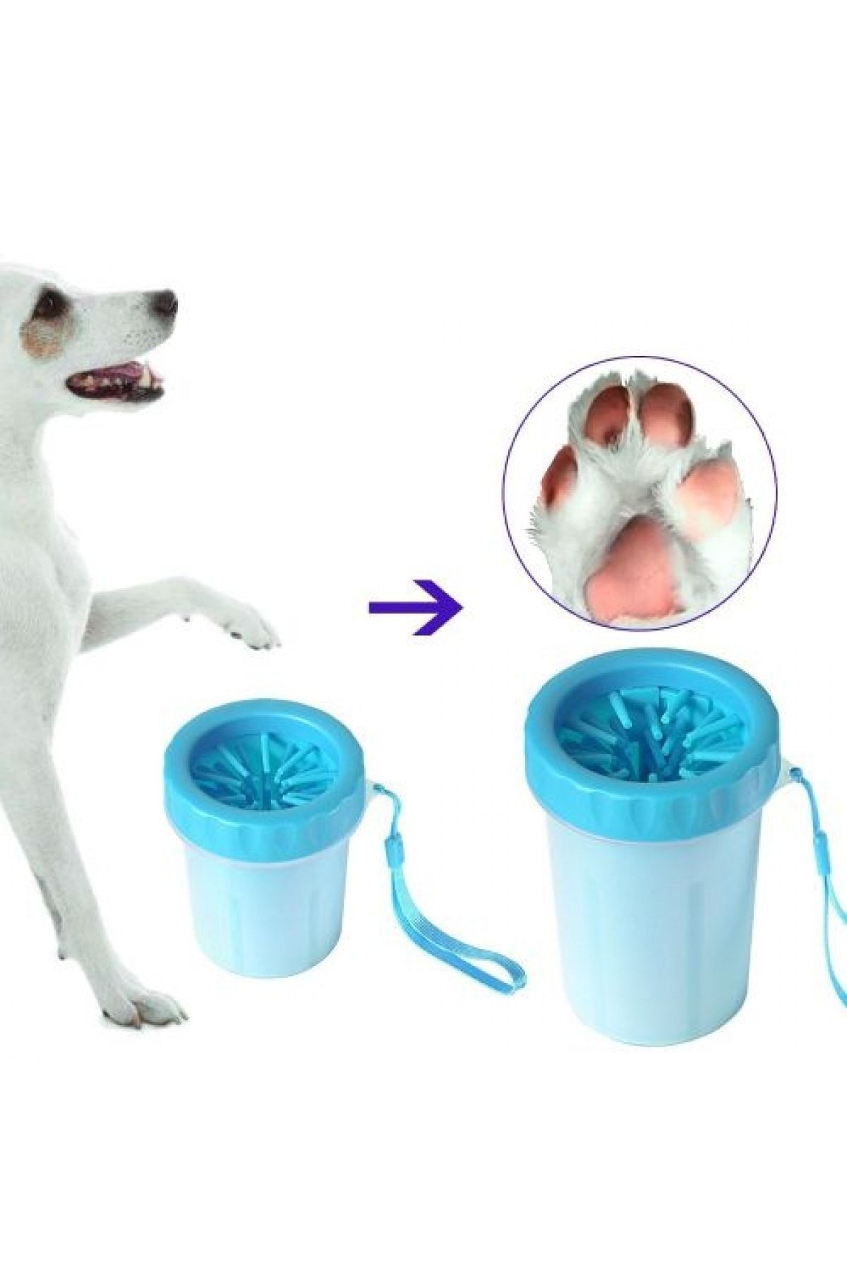 DREAM VEGA Köpek Yıkama Aleti