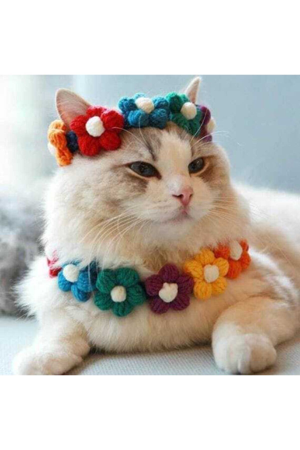 BurDen Dekoratif Ürünler & Tasarım Prenses Miyim Ben , Kedi Kıyafet Set , Kedi Tacı & Boyunluk , Tasma , Aksesuar, Pet Fashion