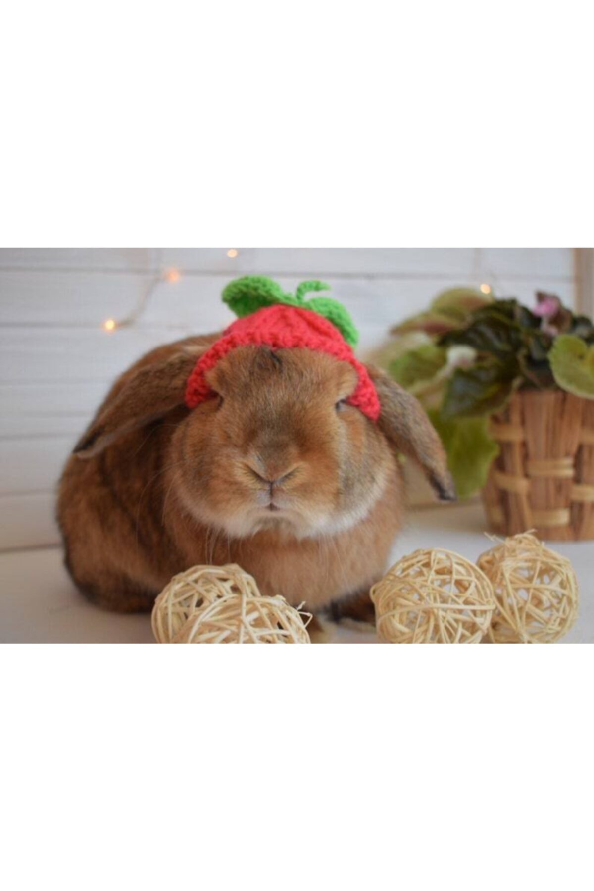 BurDen Dekoratif Ürünler & Tasarım Sevimli Çilek Şapka , Tavşan Şapkası , Aksesuar , Pet Fashion, Fenomen Hayvanlar, Pet Shop