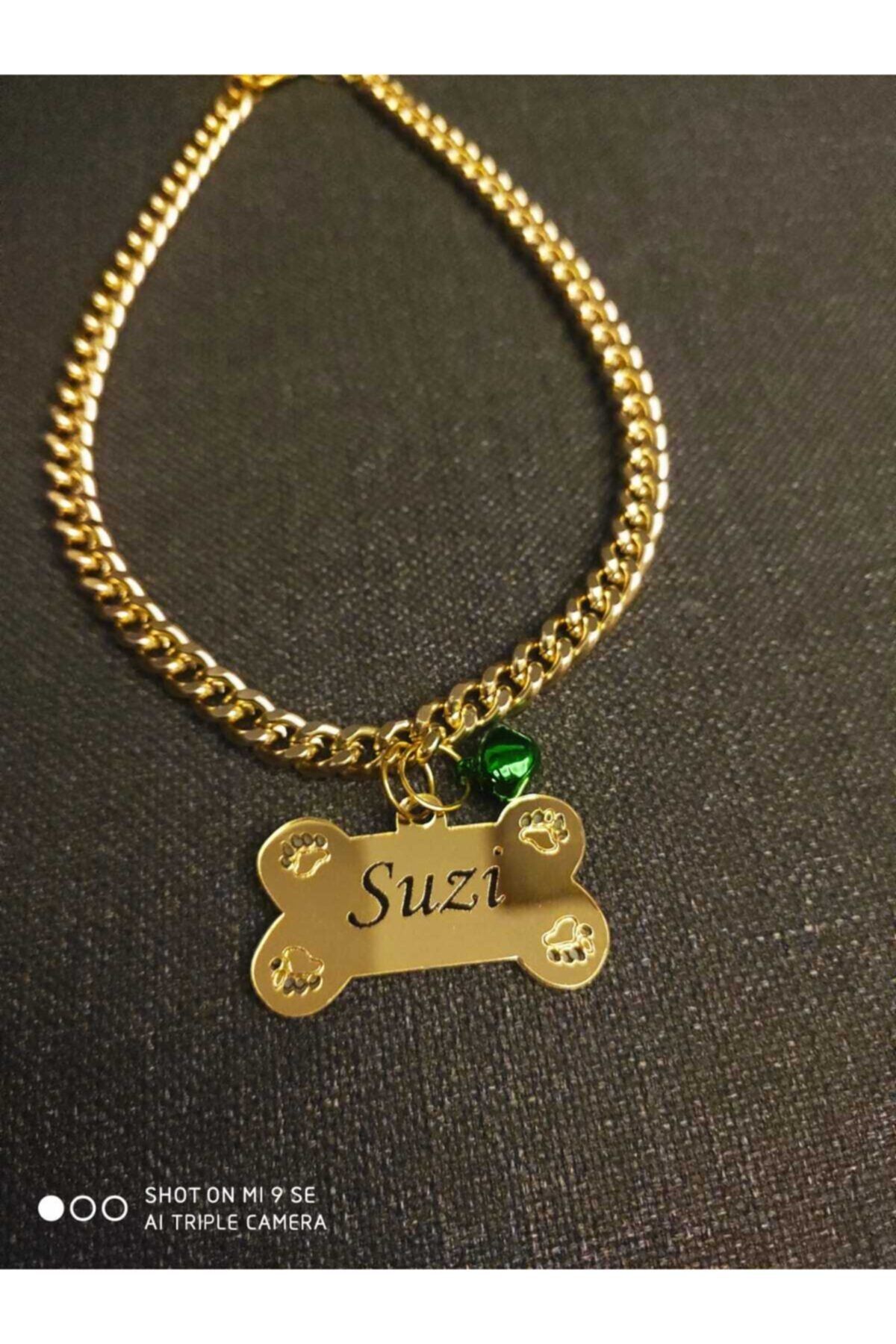 LEONİSS Leonis Orta Irk Köpek Gold Isimlik Ve Zincir