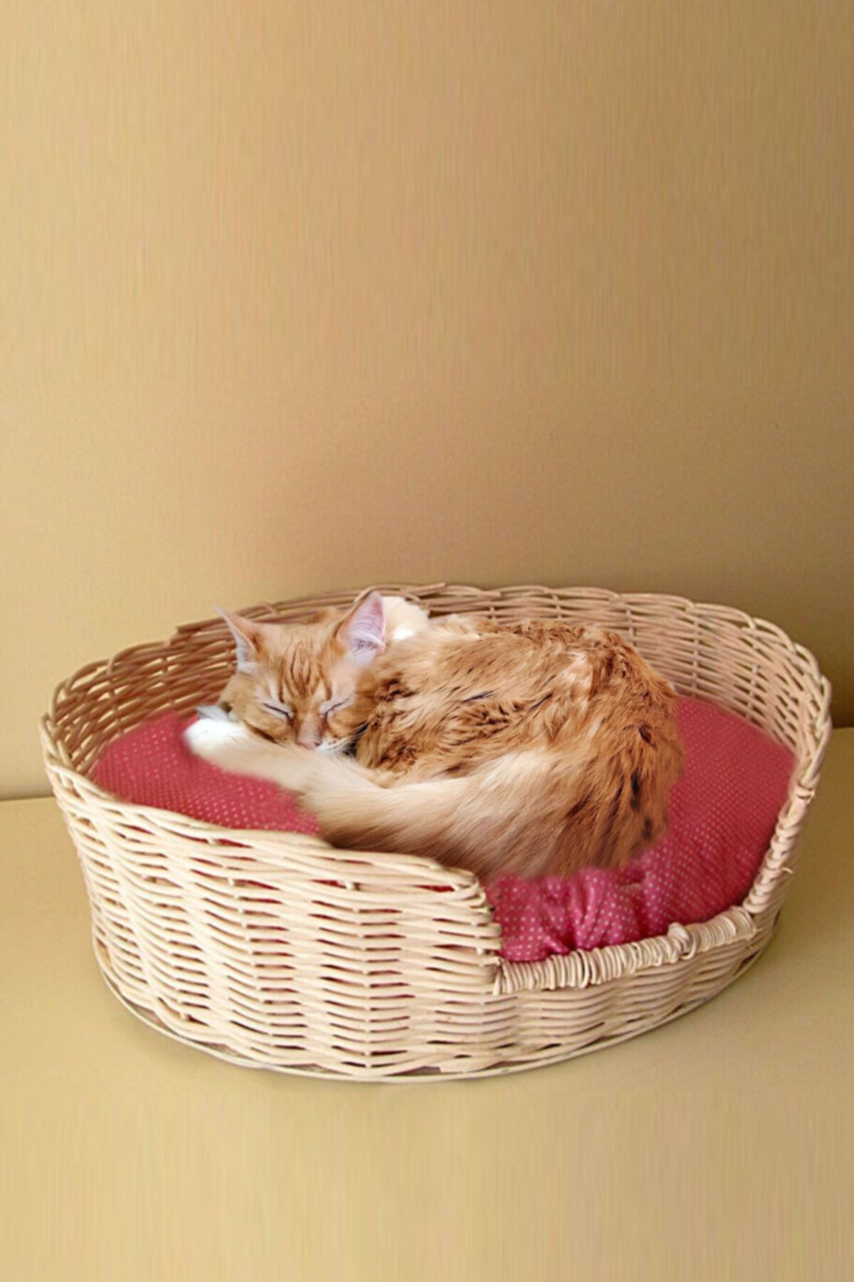 Turkish Rattan Hasır Rattan Kedi Evi
