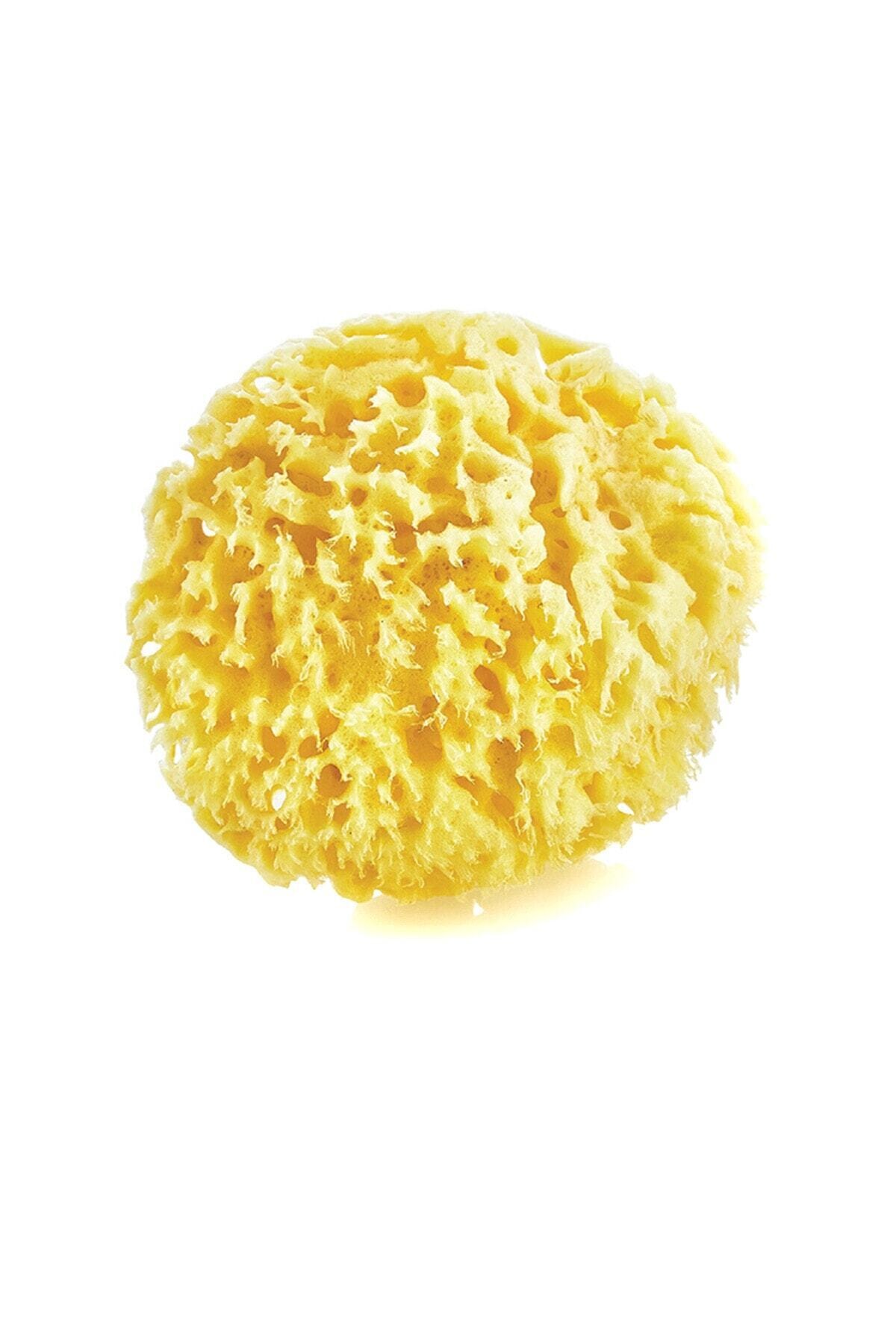 Aker Hediyelik Doğal Deniz Süngeri Yıkanmamış Kullanıma Hazır İlk Halinde