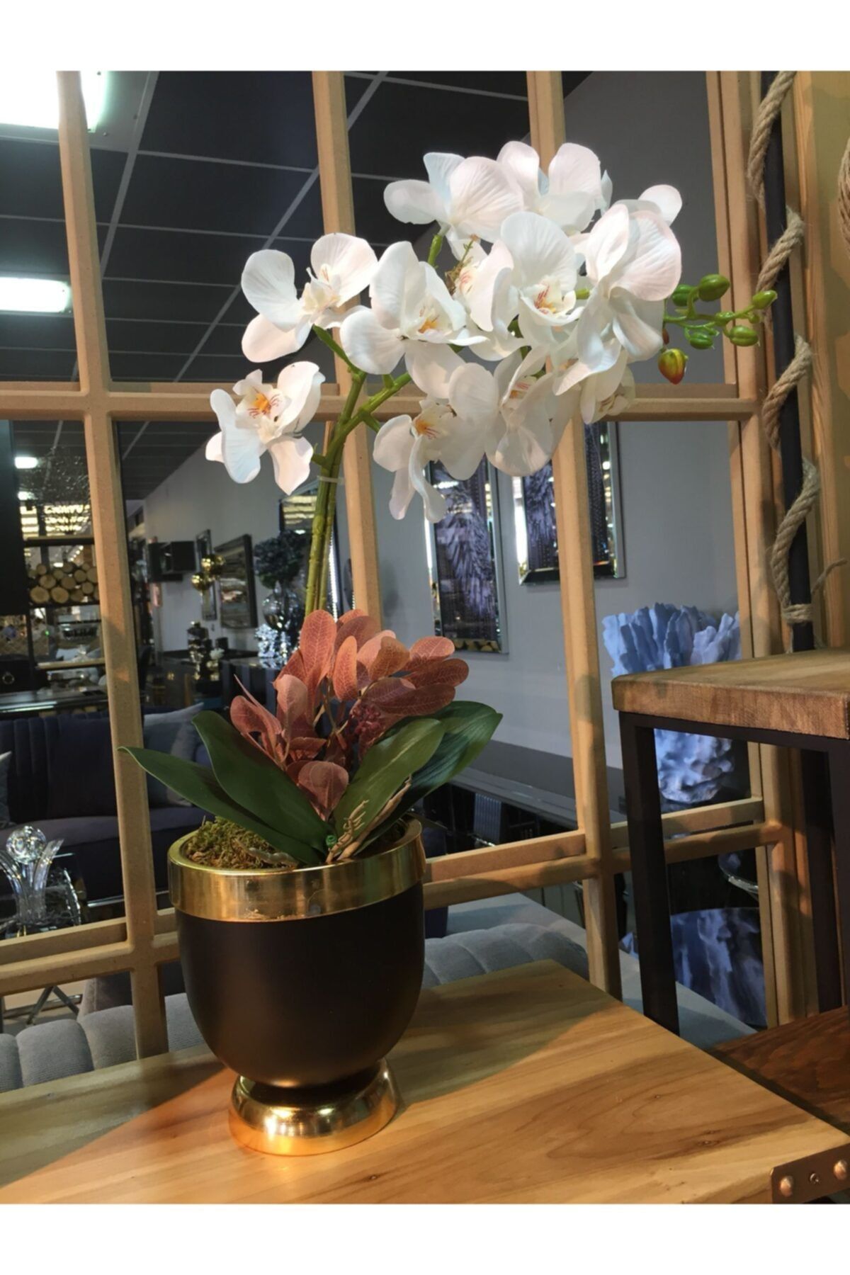 Mondecor Saksı Cream Siyah Orkide 2 Li