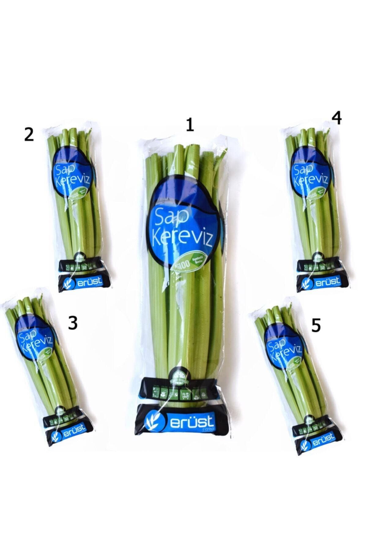 Erüst Tarım Sap Kereviz (Celery) 5 Paket