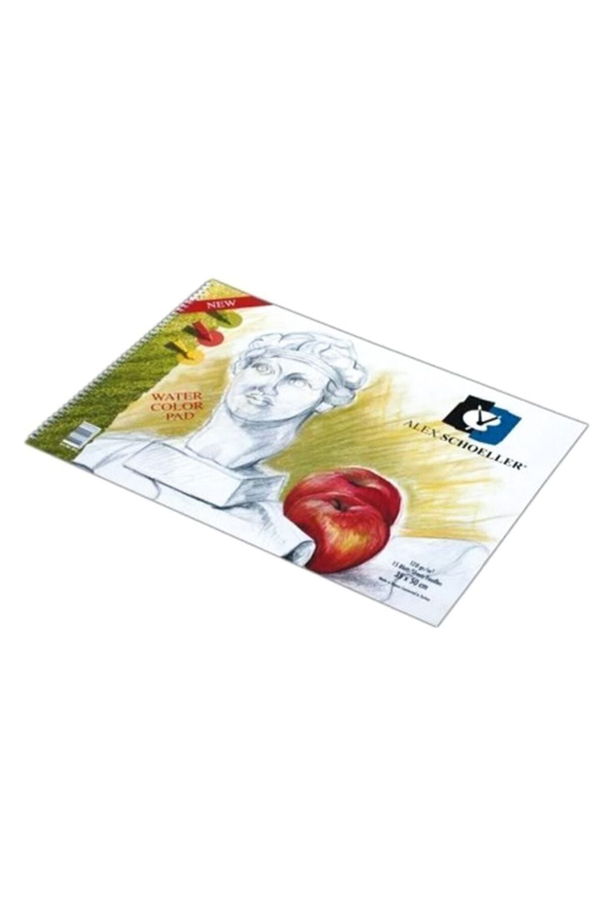 Alex Schoeller Resim Defteri 35x50 Cm. 120g 15 Yp.