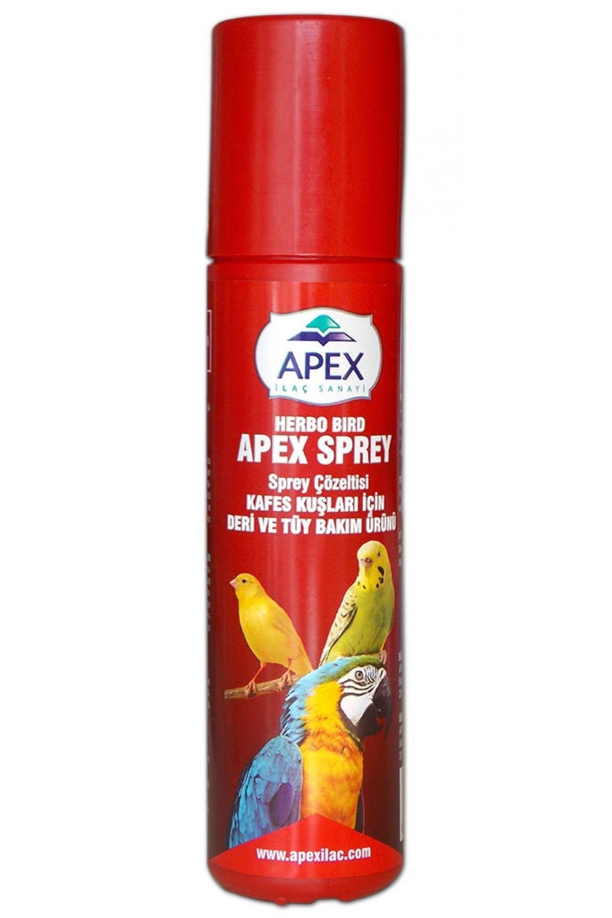 DREAM VEGA Papağan Deri Ve Tüy Bakımı - Apex