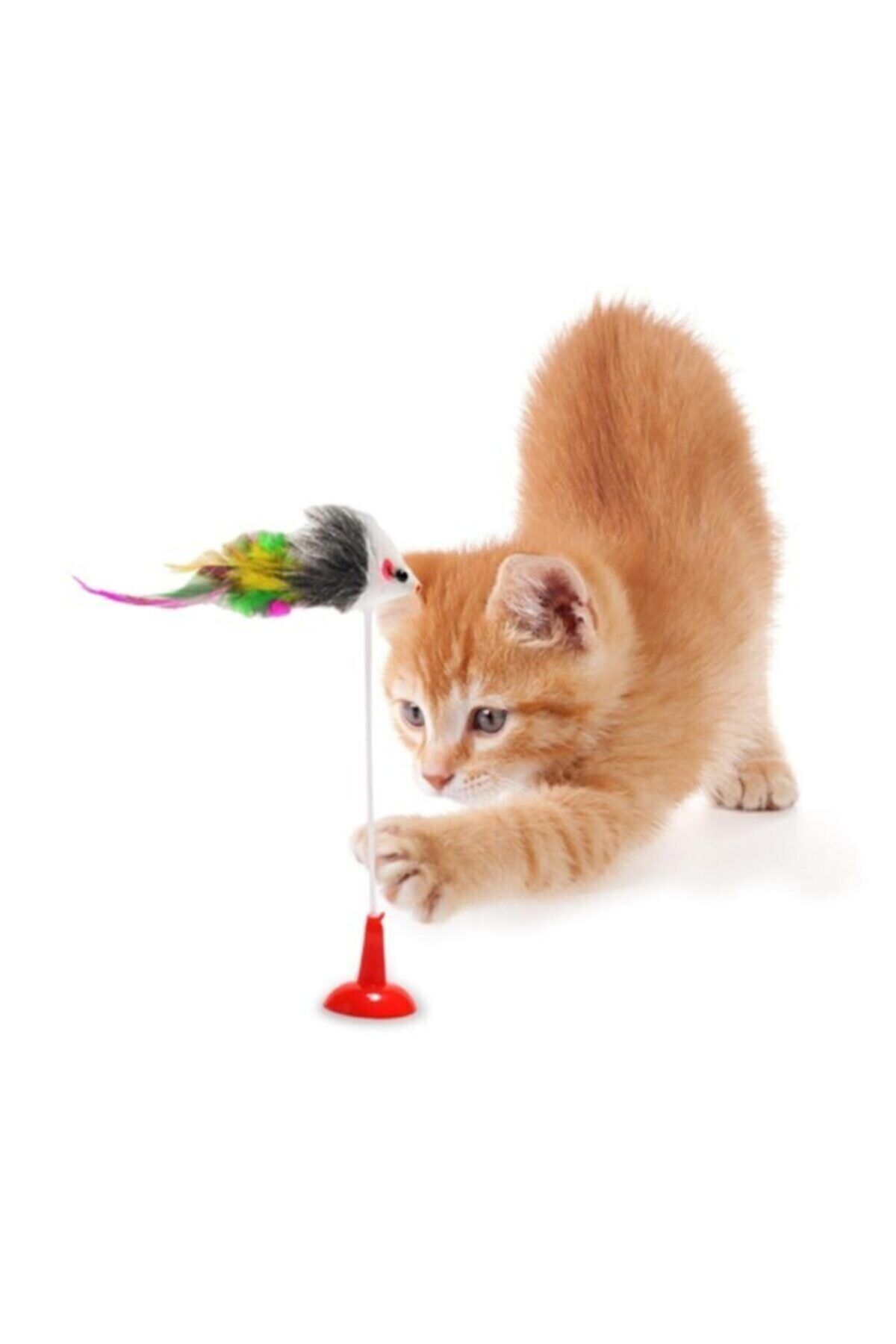 Easy Pet Vantuzlu Fare Kedi Oyuncağı