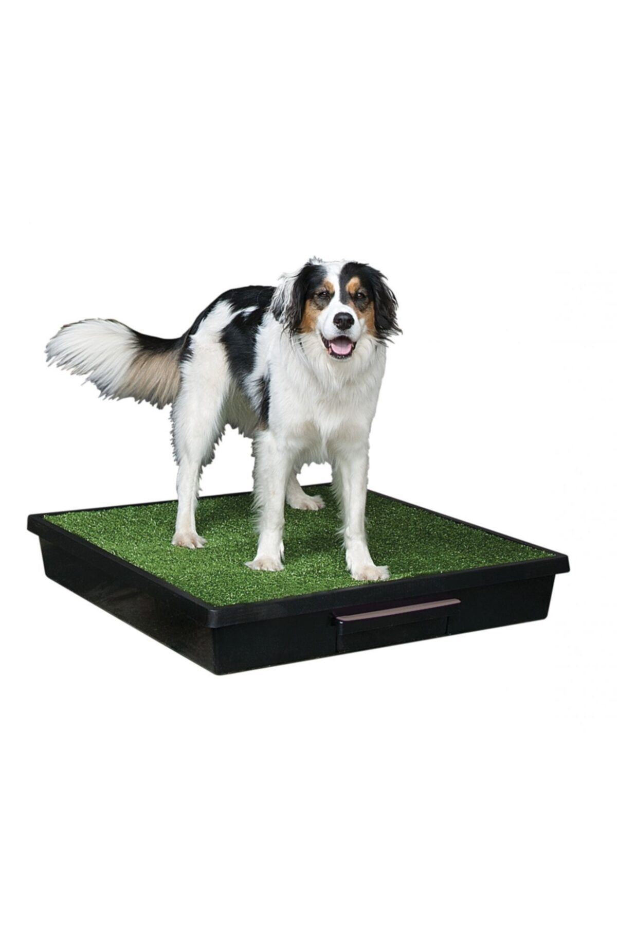 PetSafe Pet Loo Large Köpek Tuvaleti (83x83cm)