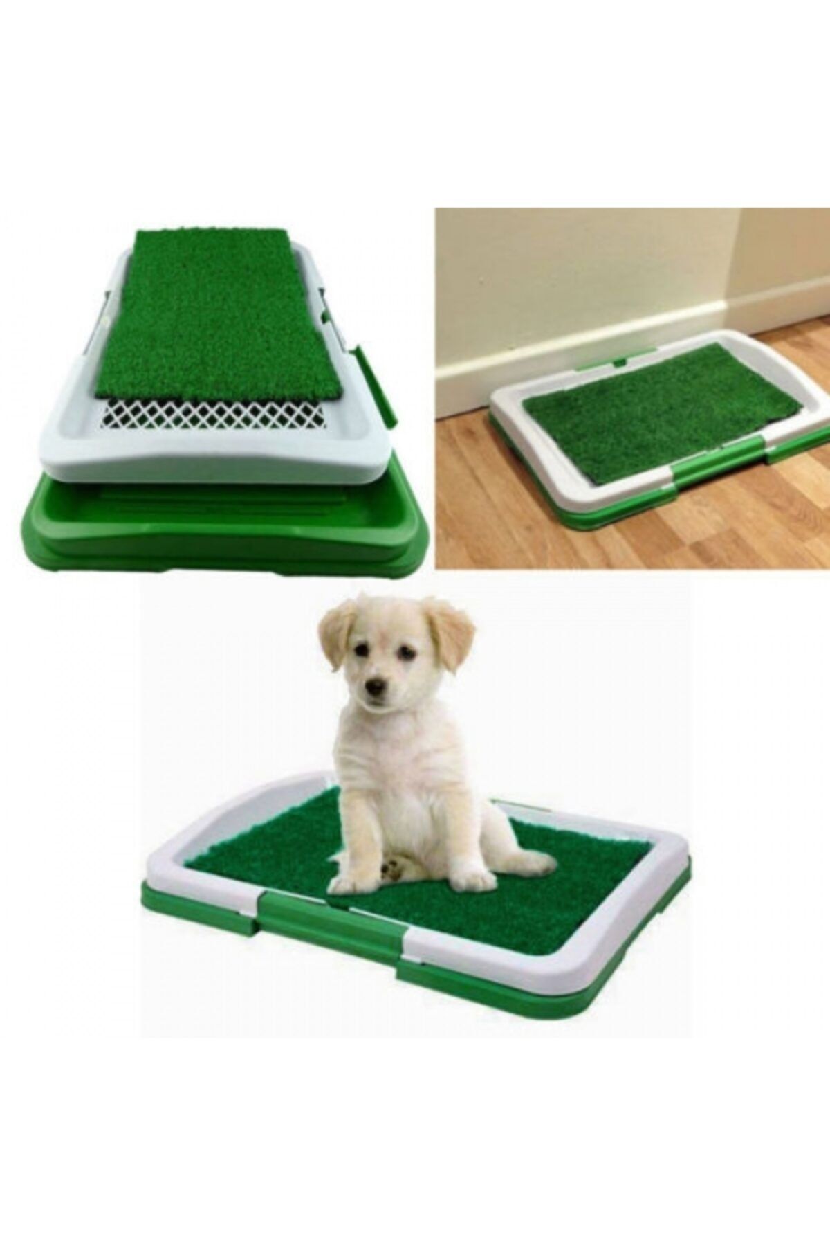 SoAndSo Köpek Tuvalet Eğitim Seti