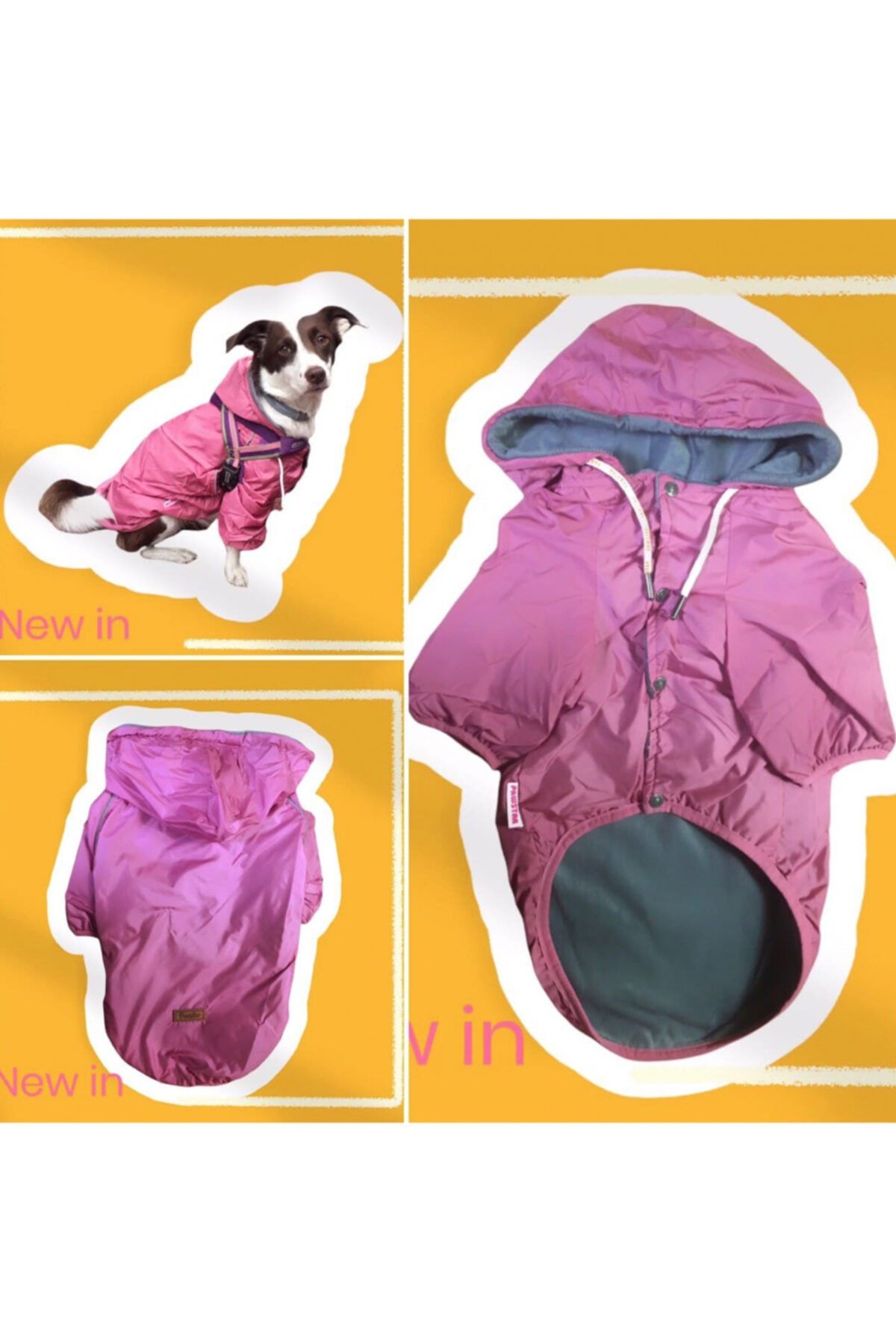 Pawstar Büyük Irk Yağmurluk